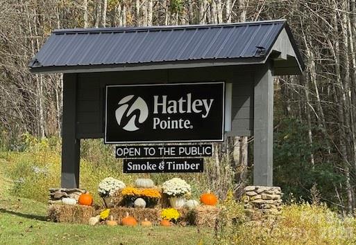 Wolf Laurel - Residential