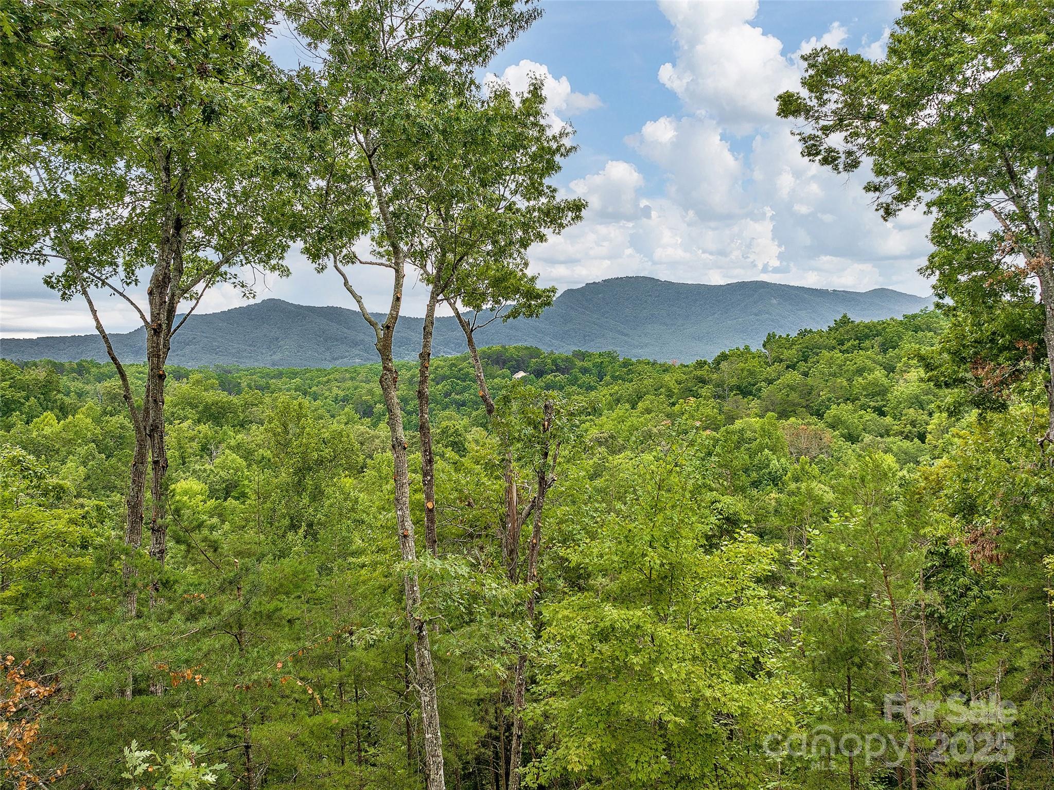 Lake Adger - Residential