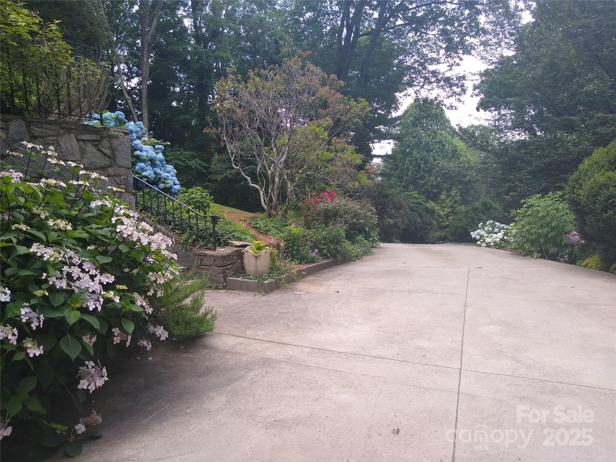 242 Birch Lane