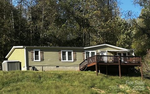 376 Wellstown Road Canton NC 28716