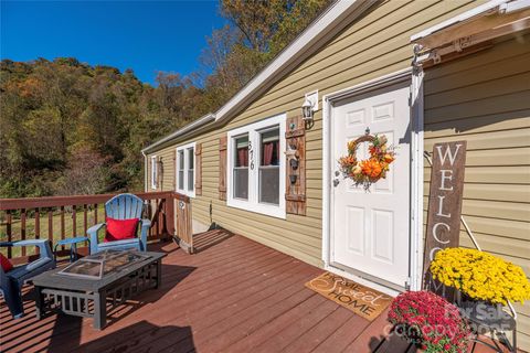 376 Wellstown Road Canton NC 28716