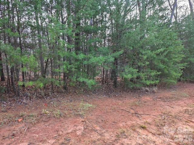 Reflection Pointe - Land