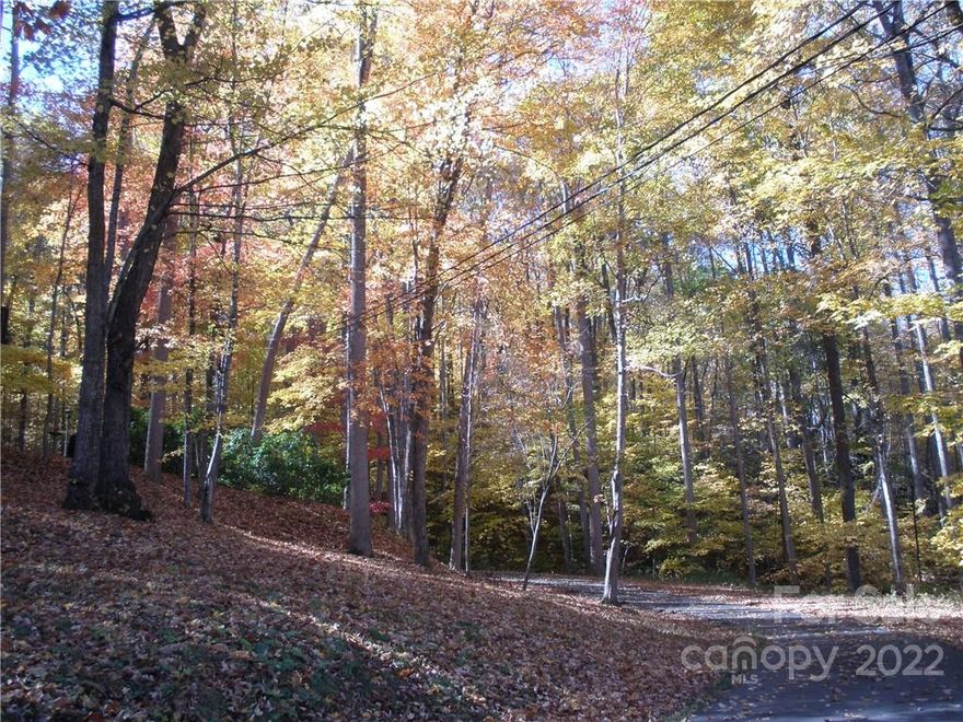 1.2 acre lot in Wild Acres with a winter view, Maggie Valley. Paved state road, city water. Lots of trees, easy access to Soco Road, shopping, restaurants, etc. Owner is licensed NC real estate broker. Taxes for 2024 are $287.12