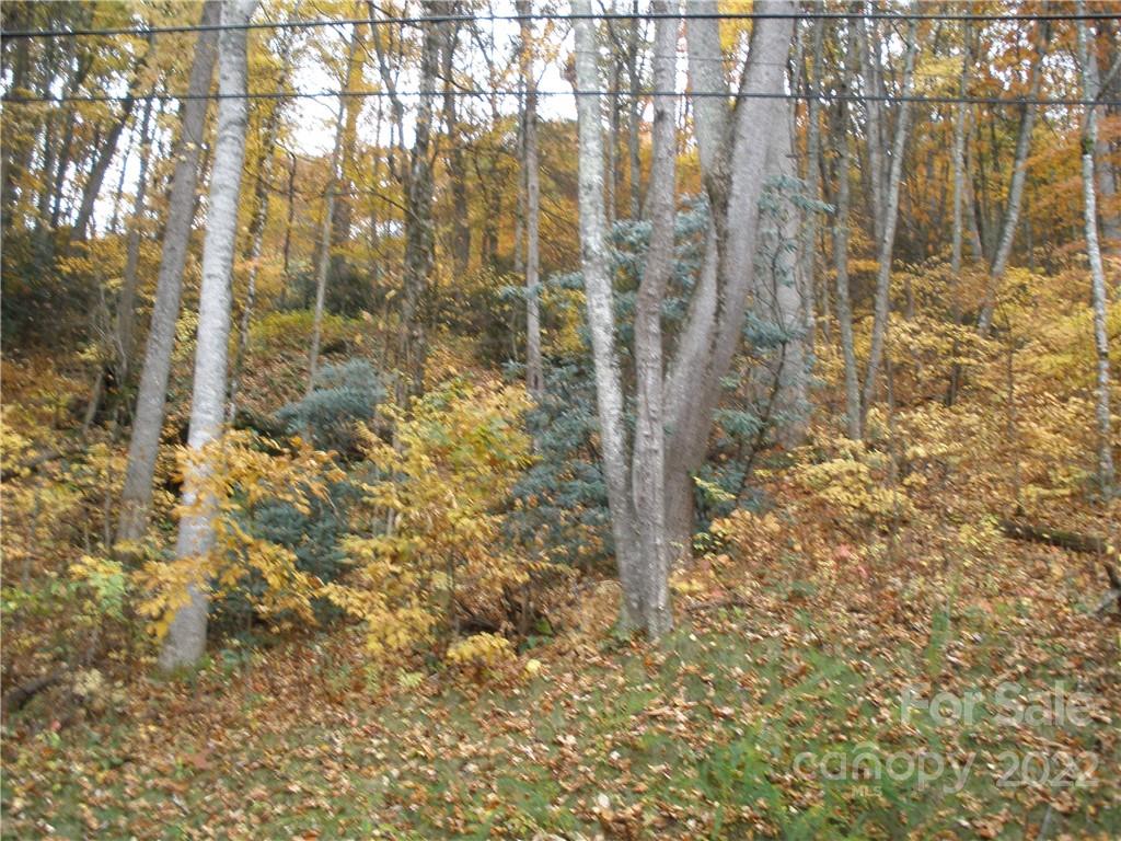 Lot 13 Dogwood Drive