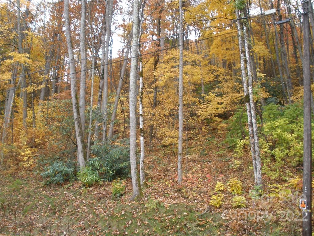 Lot 13 Dogwood Drive