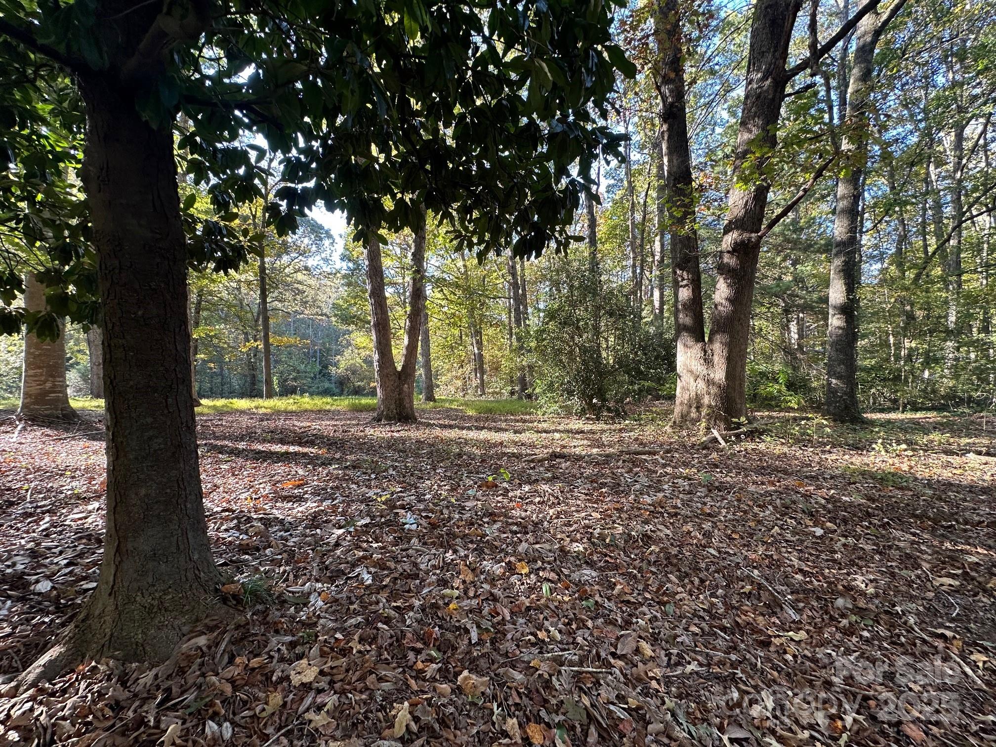 0 Courtney- Huntsville Road 1