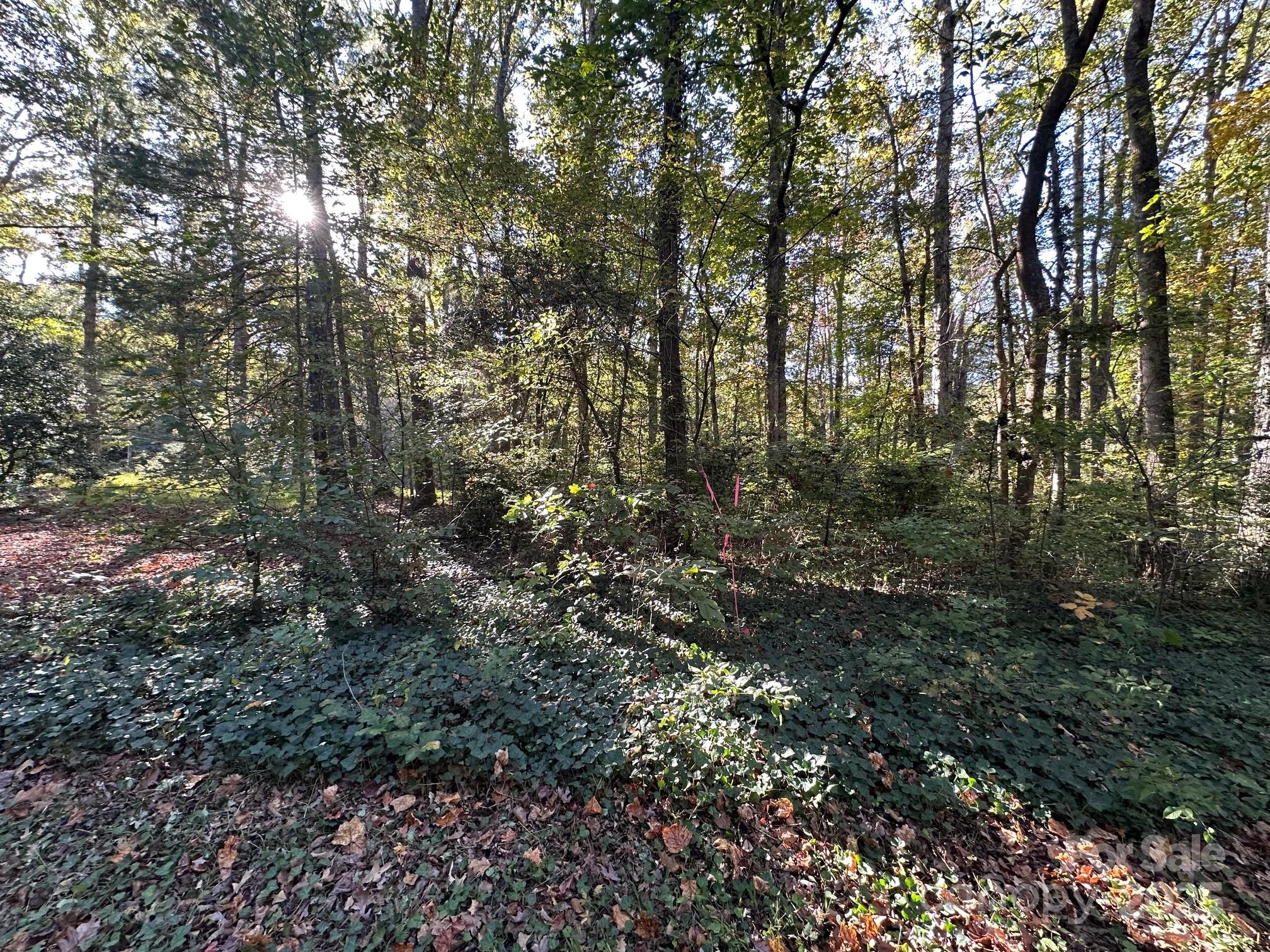 0 Courtney- Huntsville Road 1