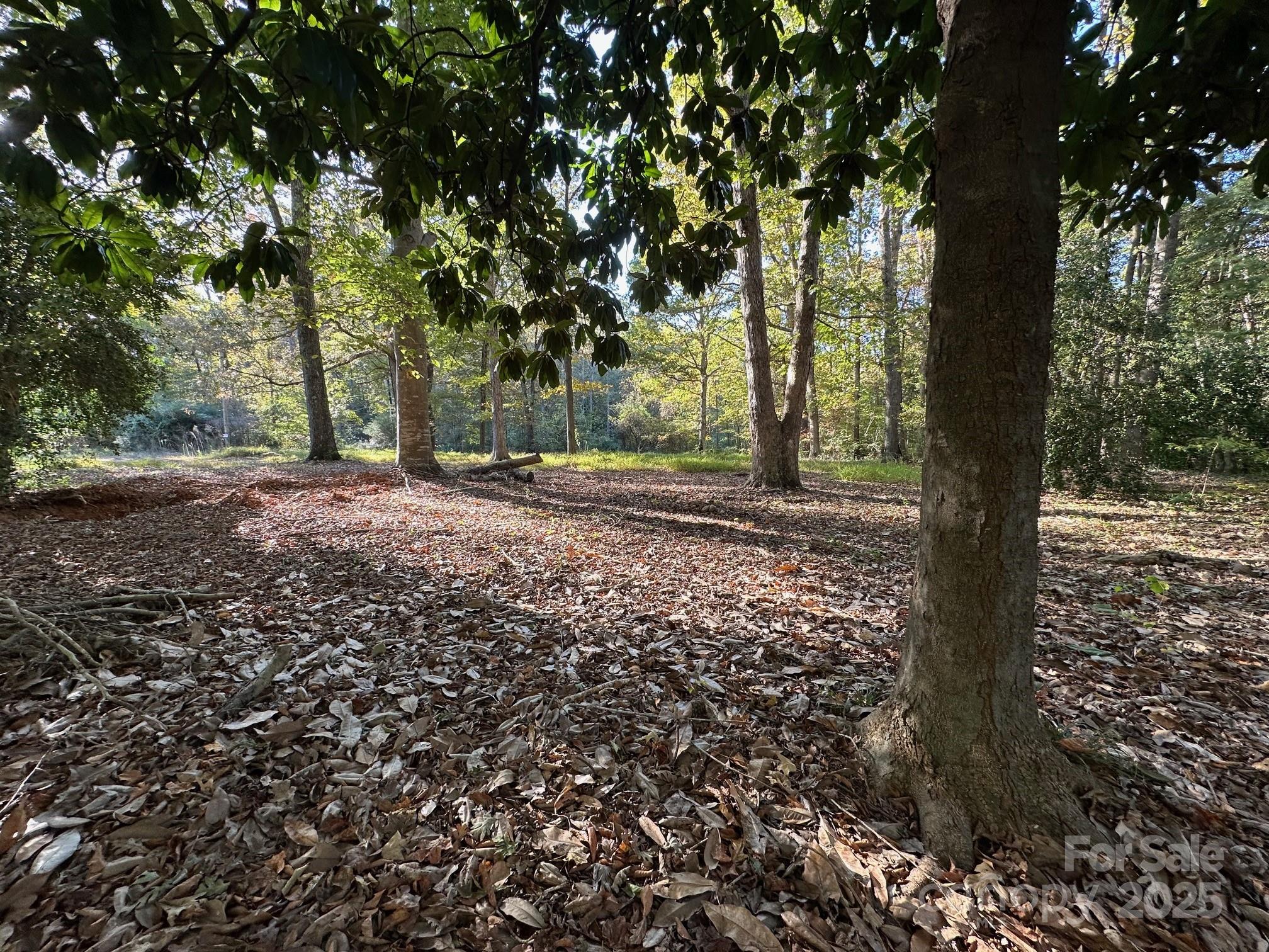 0 Courtney- Huntsville Road 1