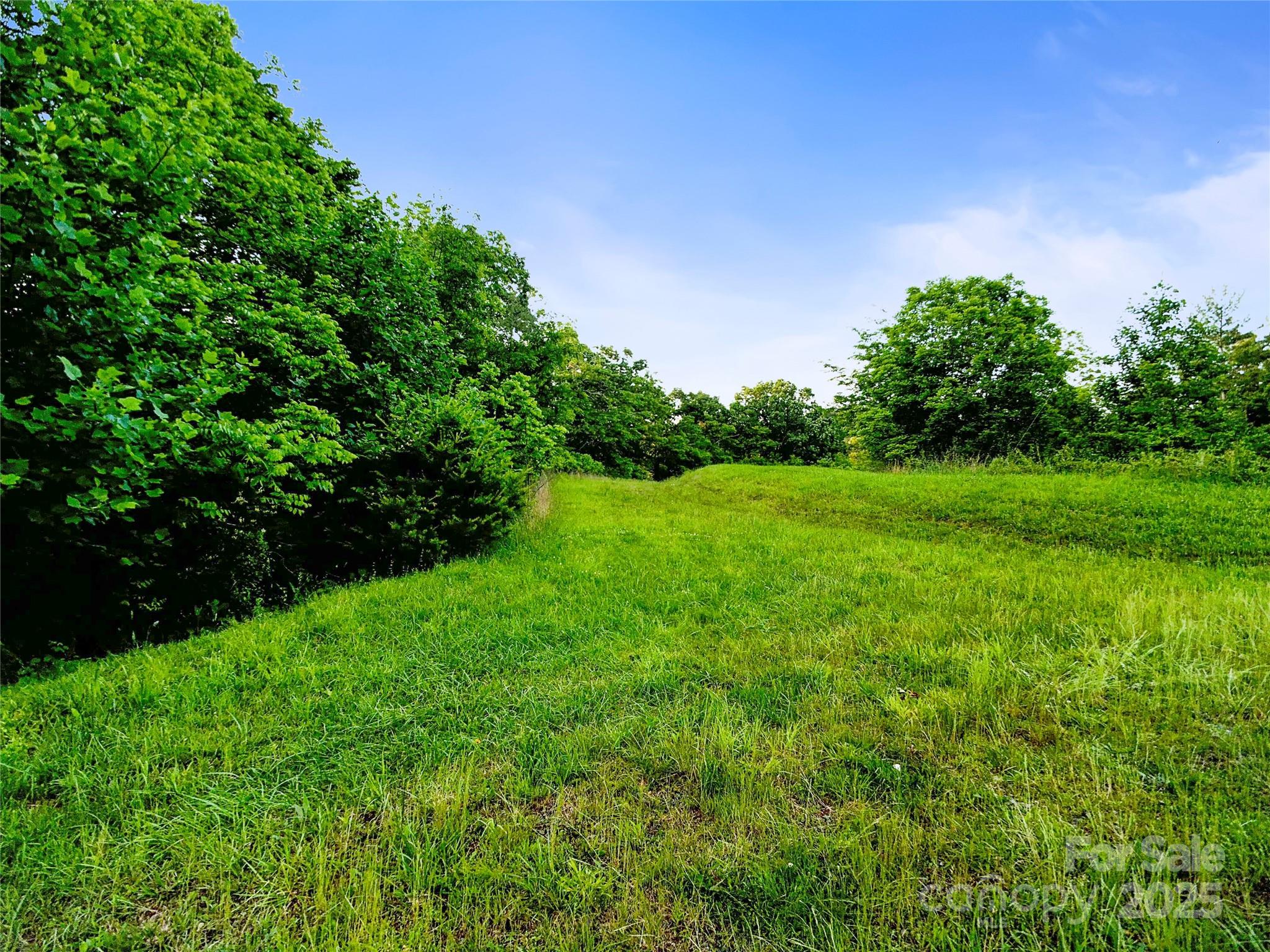 99999 Bear Creek Road 38