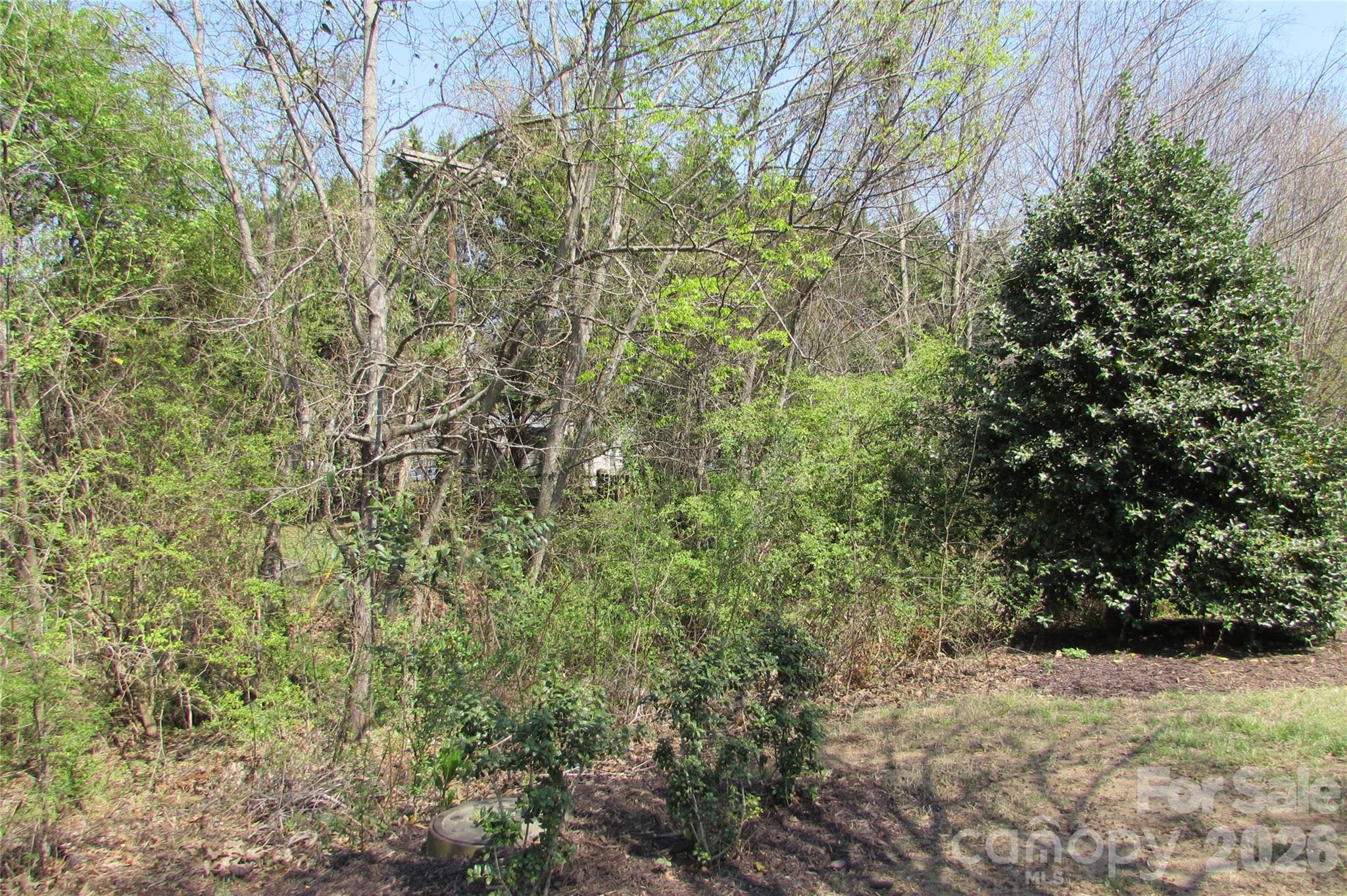 Auburn Place - Residential