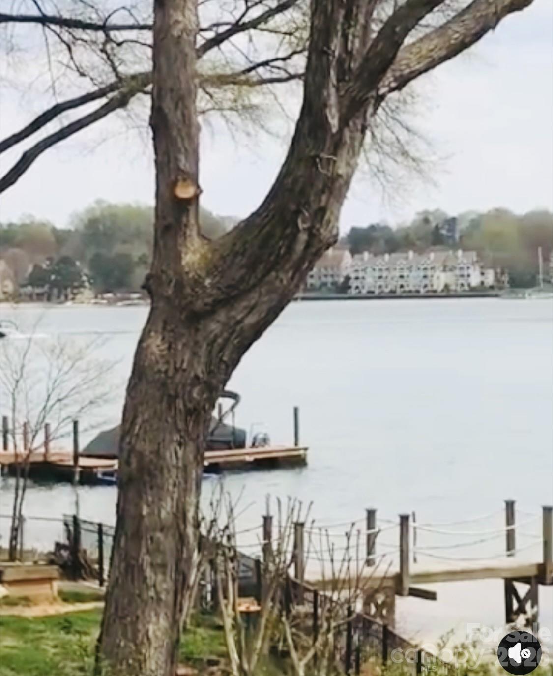 21510 Norman Shores Drive