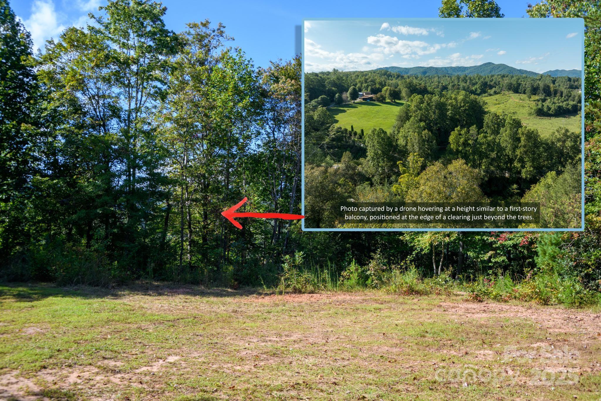 2340 Twin Poplars Lane