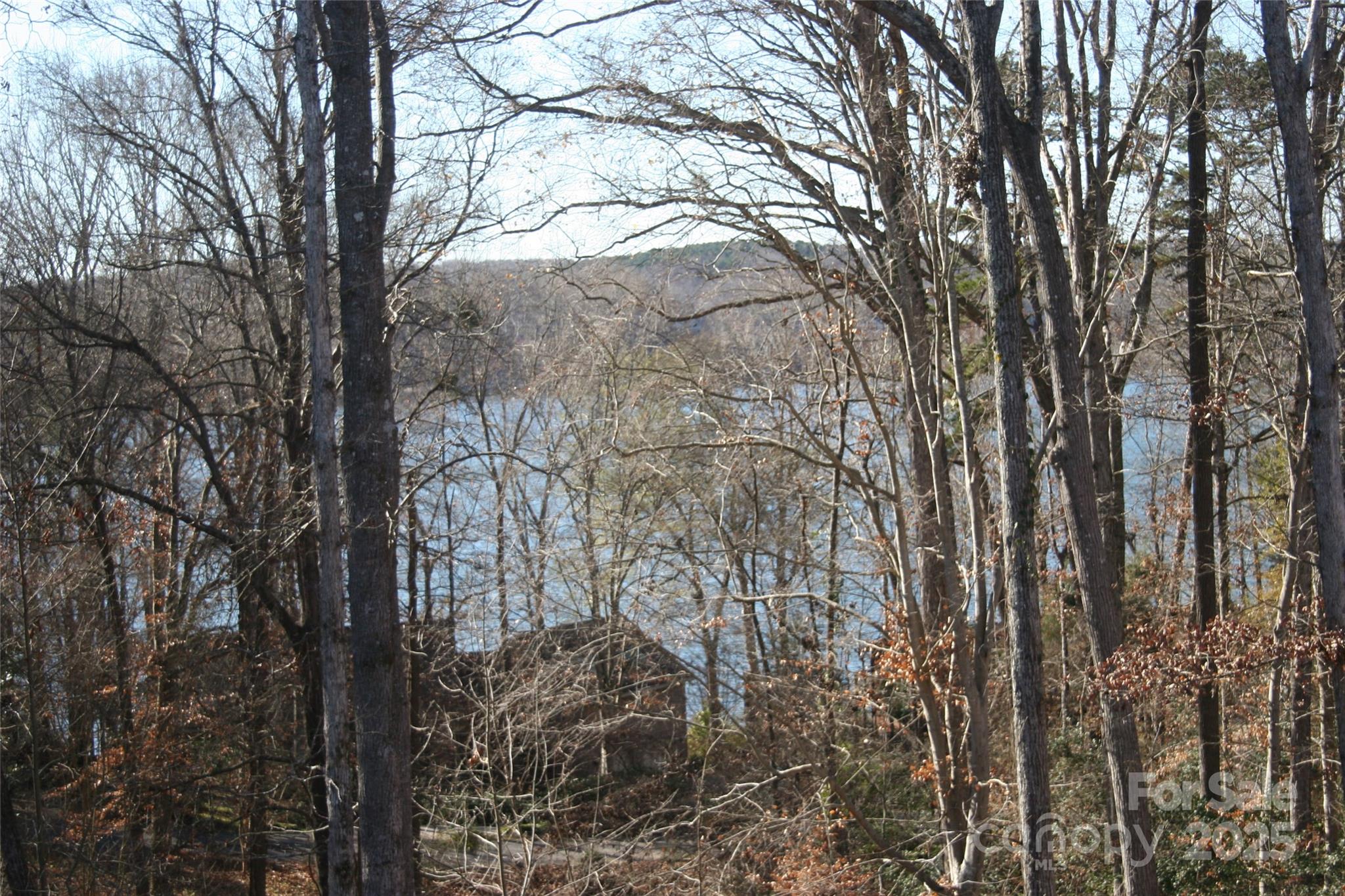 Spring Shore - Residential