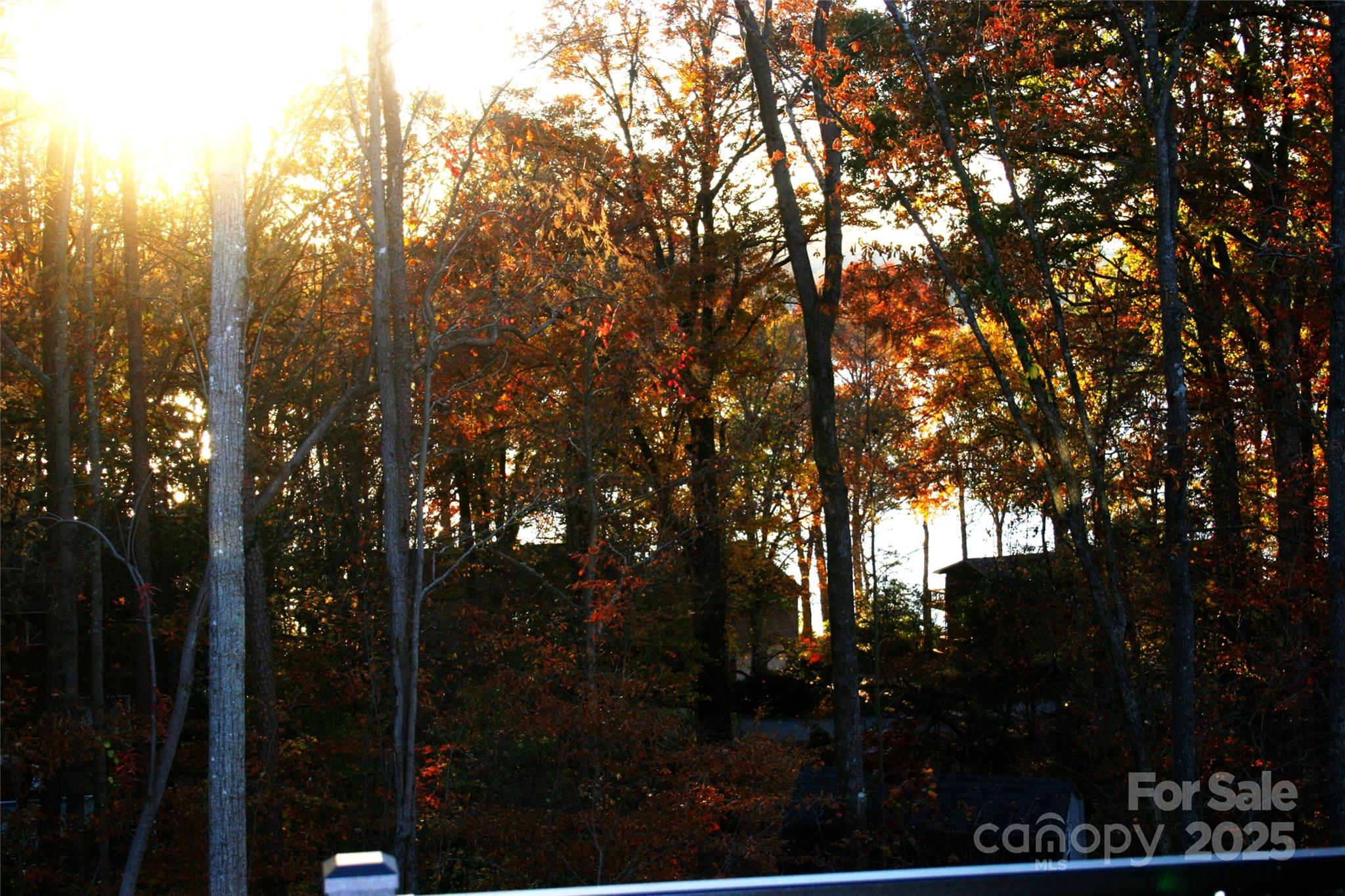 105 Sunset View Lane 55-56