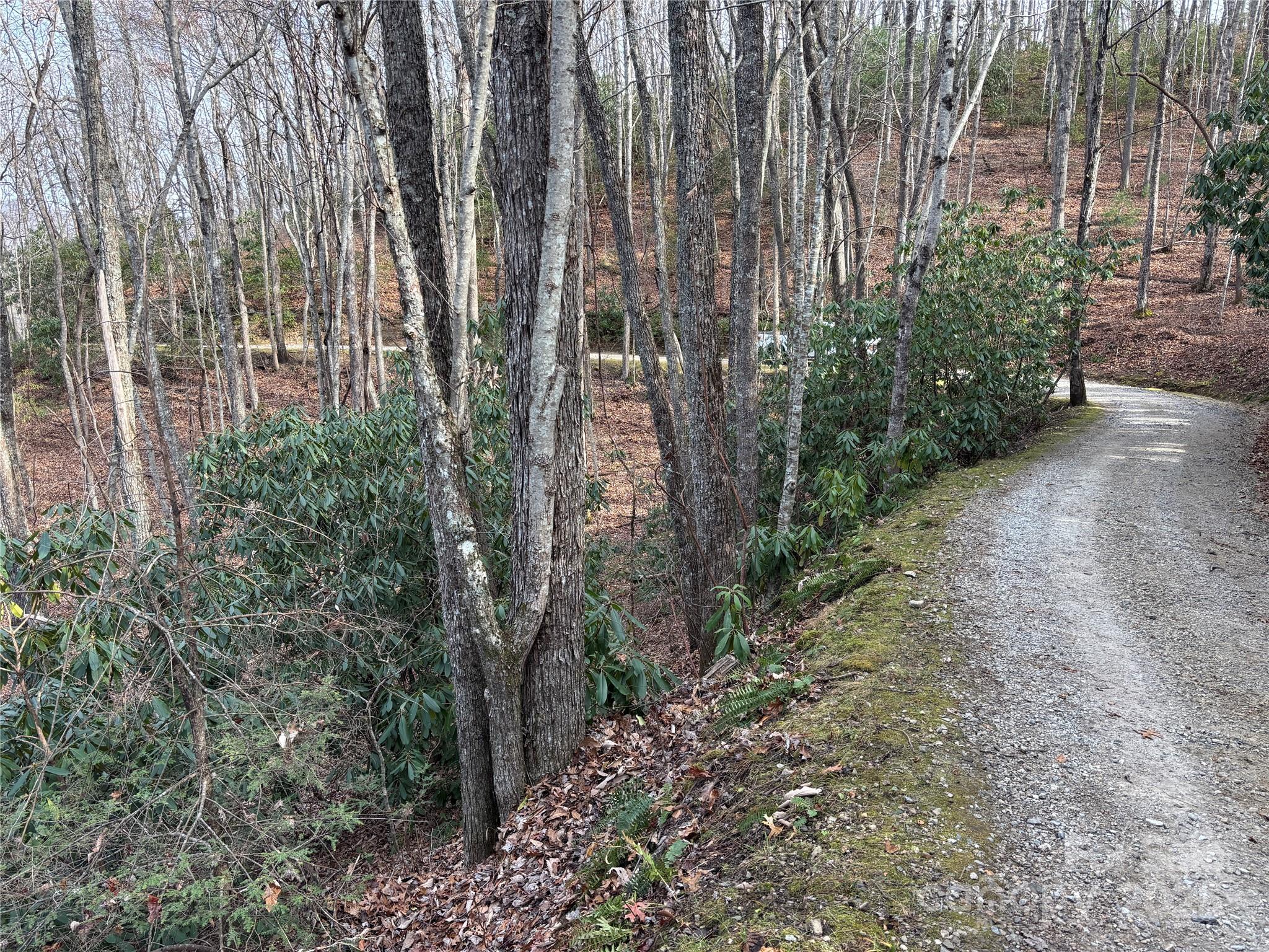 Lot 5 Mt Tabor Road