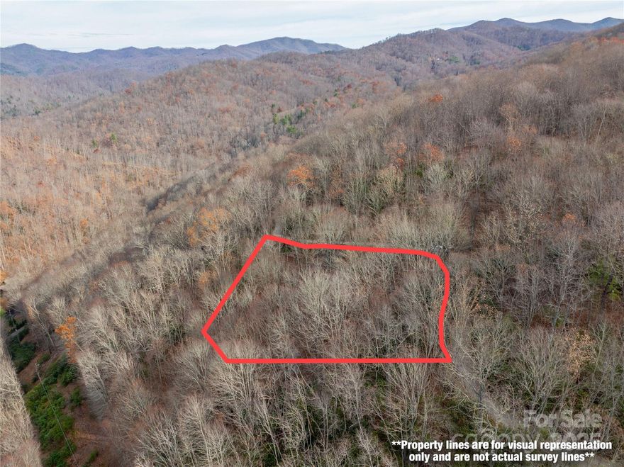 1.08+/- Pristine acres in the sought-after Nantahala area of Macon County—an ideal setting for your mountain getaway or full-time retreat! This gently laying parcel offers gorgeous potential views with selective tree removal. Situated along a well-maintained community road, access is easy and reliable year-round. The property offers a peaceful, private setting without sacrificing convenience. You're also less than 4 miles from stunning Nantahala Lake, where boating, fishing, and outdoor adventure await. Whether you’re dreaming of a cozy cabin, a vacation rental, or a serene escape surrounded by nature, this property provides the perfect foundation. Come experience the calm, fresh air, and limitless possibilities of Nantahala living!