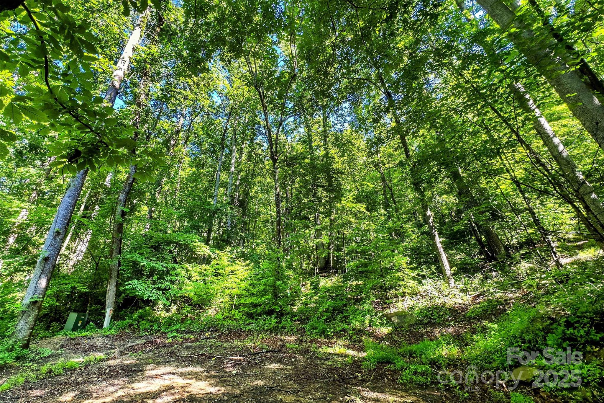 Linville Falls Mountain Club and Preserve - Land