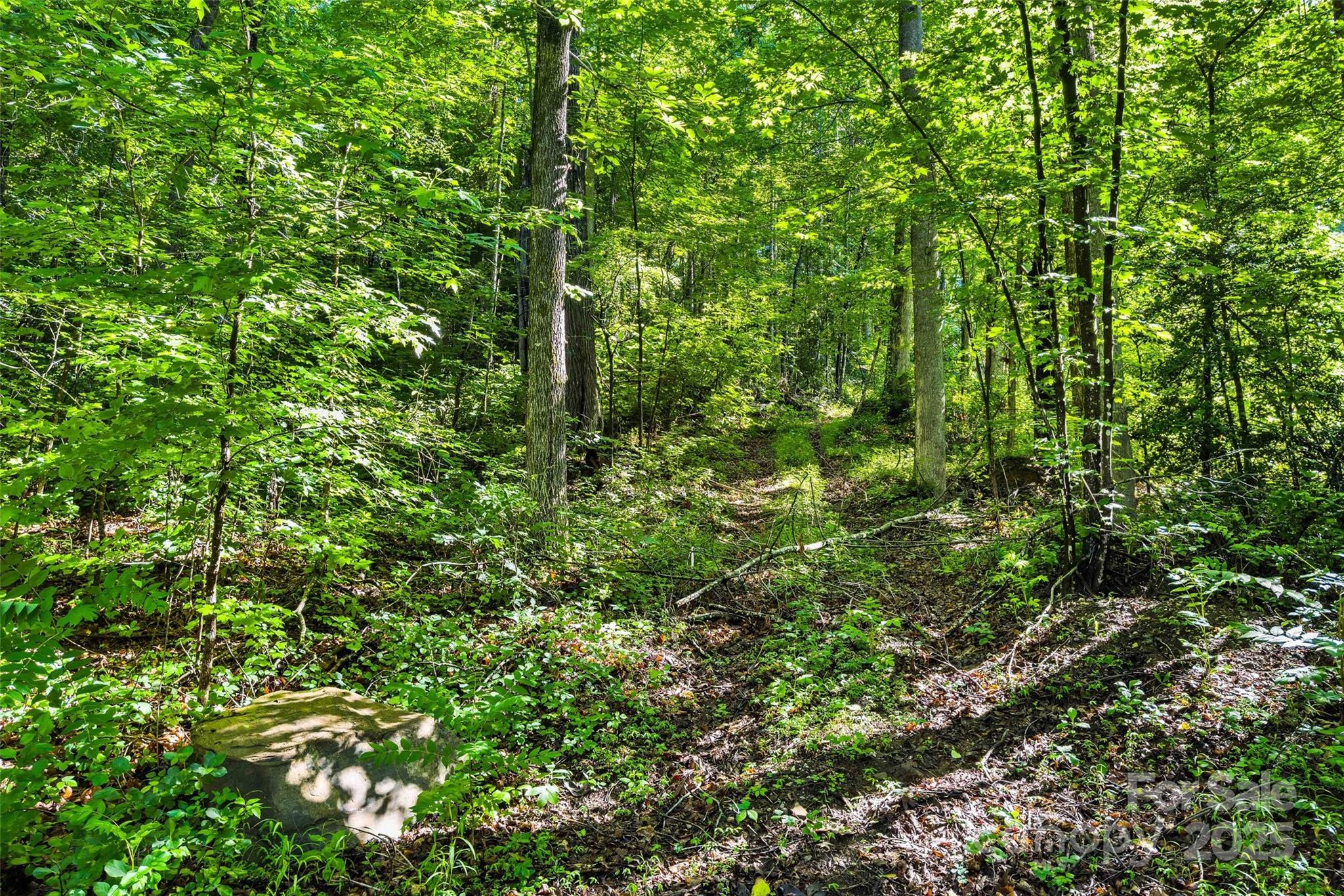 Linville Falls Mountain Club and Preserve - Land