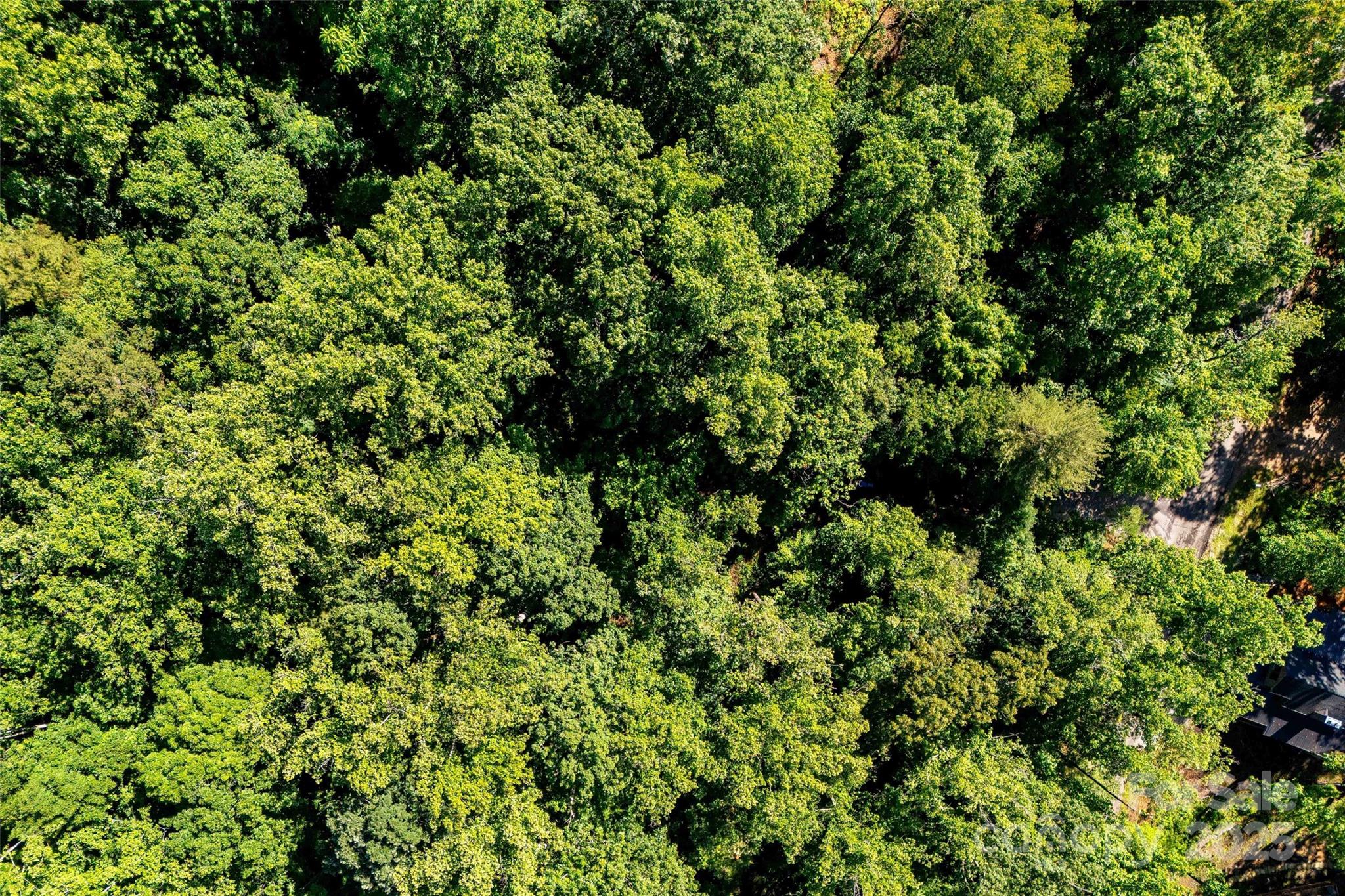 Linville Falls Mountain Club and Preserve - Land
