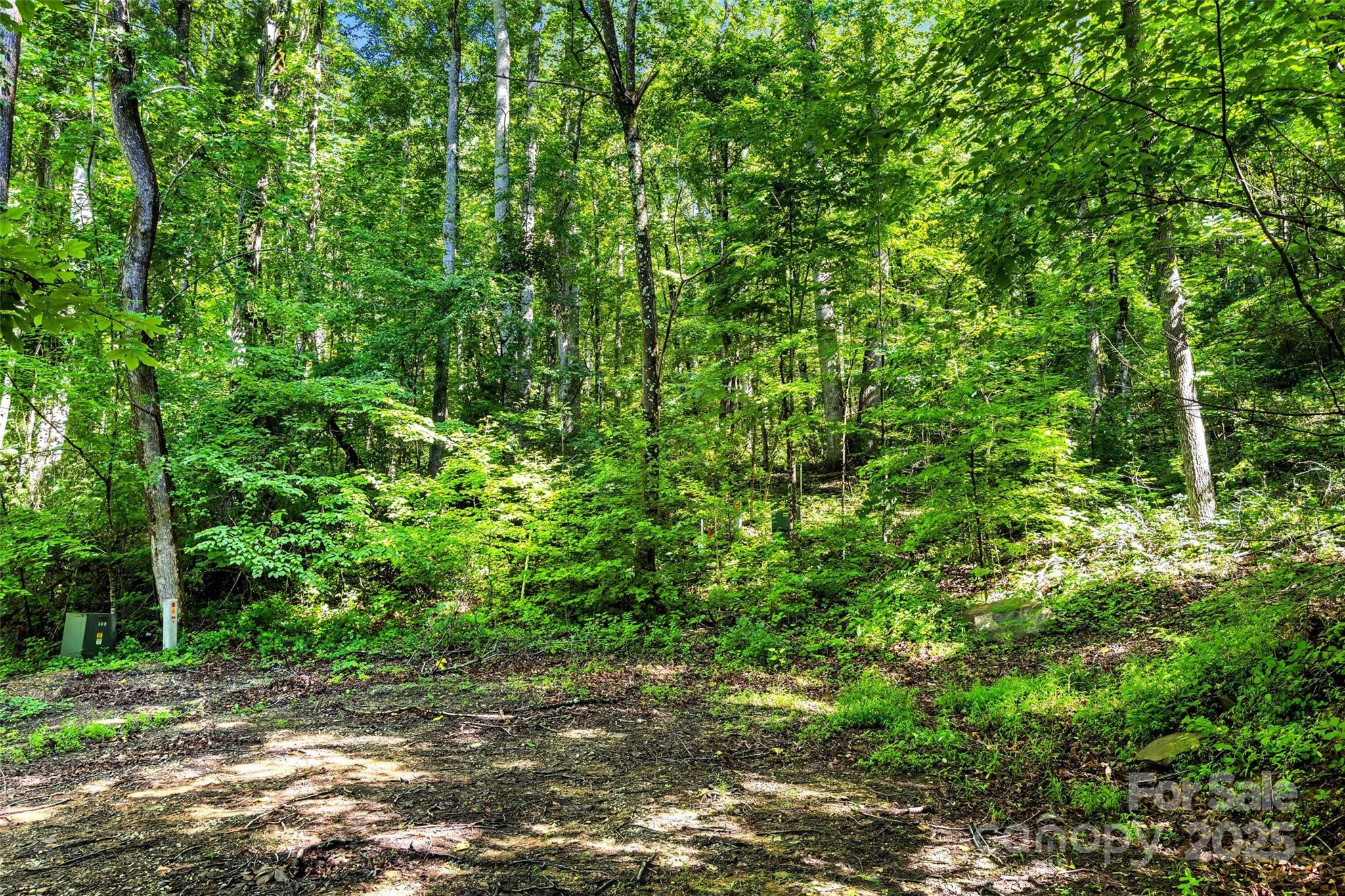 Linville Falls Mountain Club and Preserve - Land