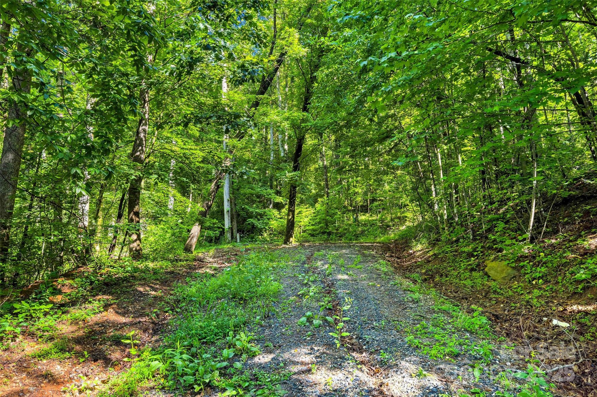 Lot # 77 Hunnicut Spur Road