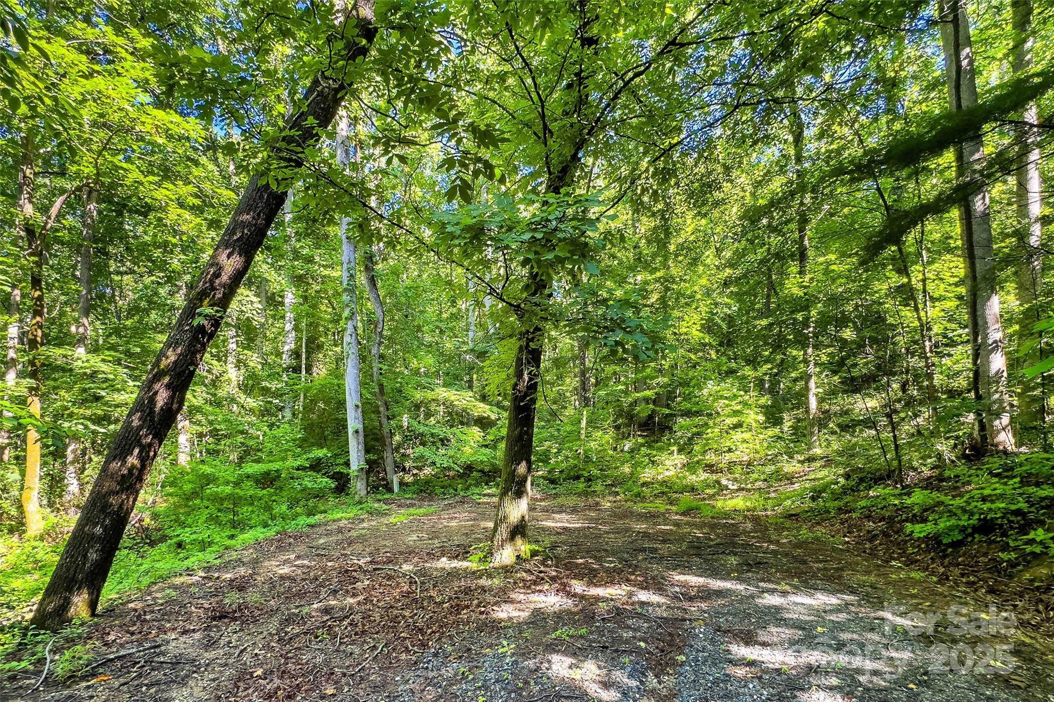 Lot # 77 Hunnicut Spur Road