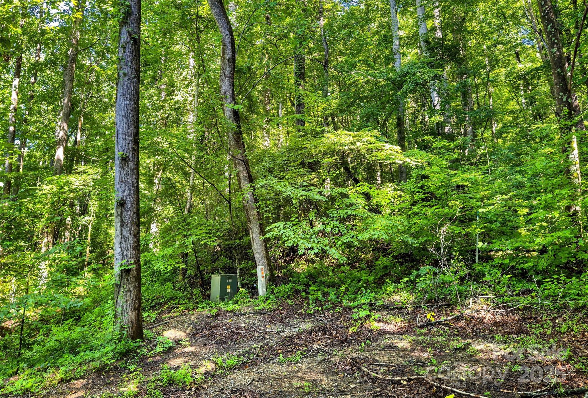 Lot # 77 Hunnicut Spur Road