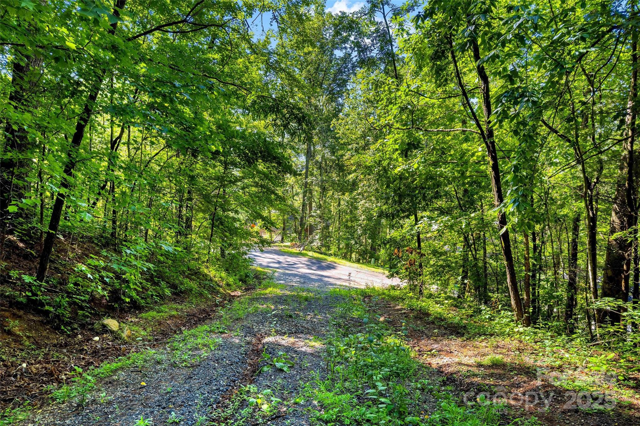 Lot # 77 Hunnicut Spur Road