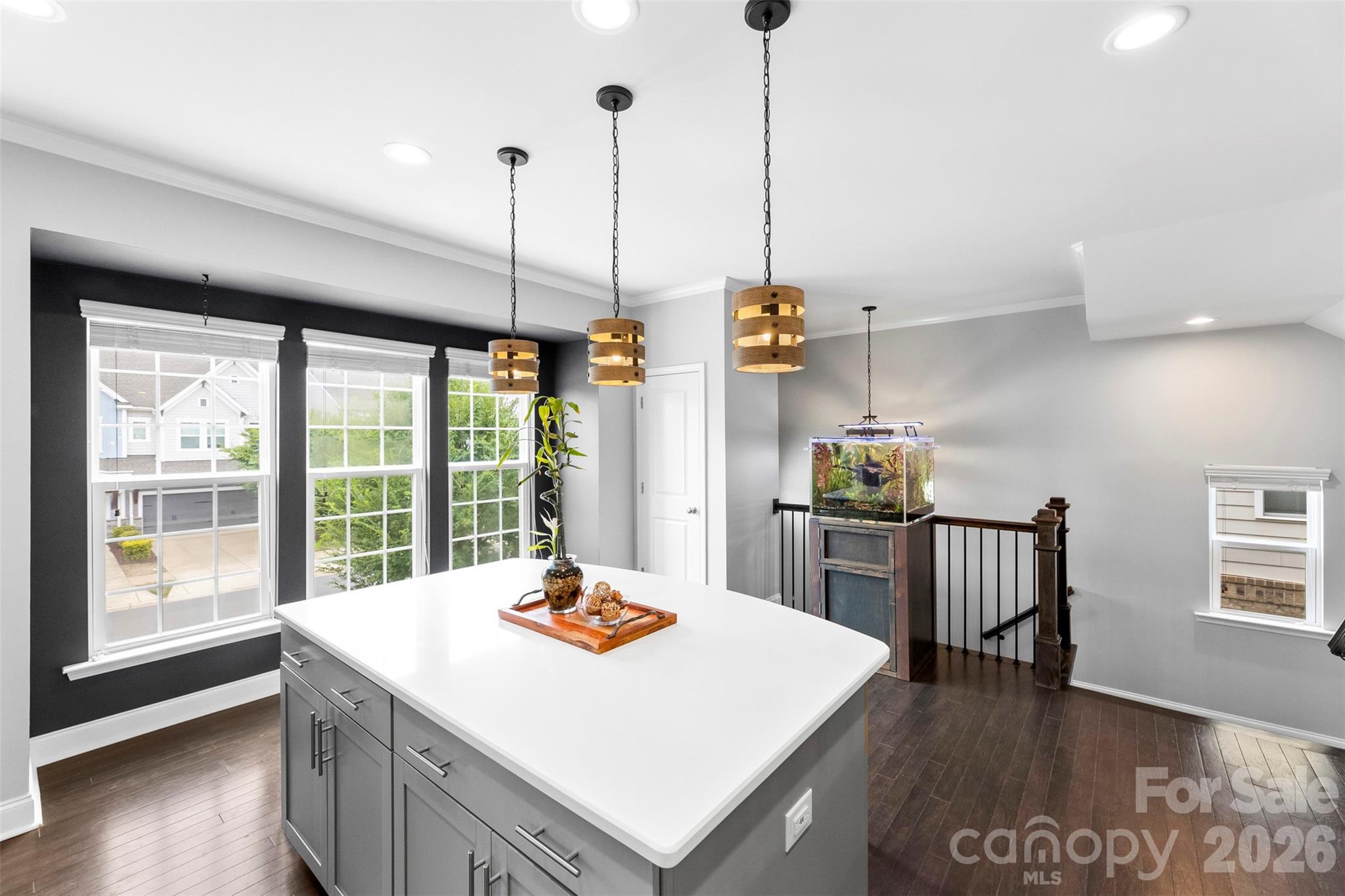 Belton Street - Residential