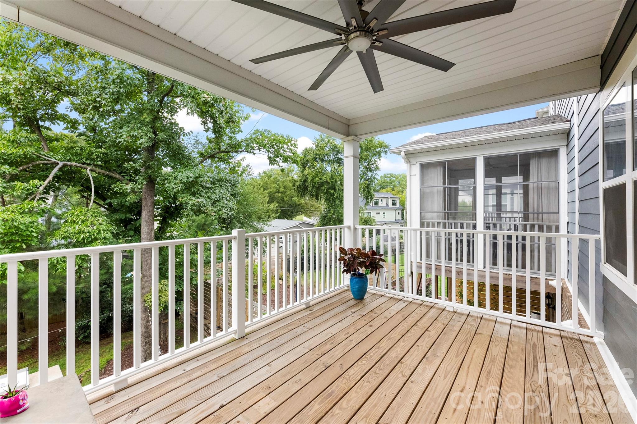 Belton Street - Residential