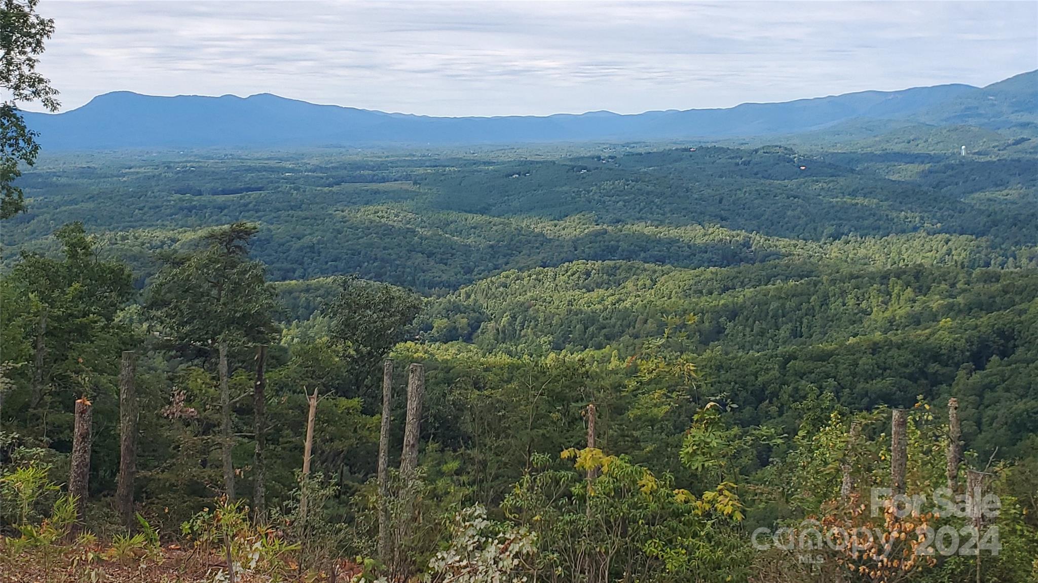 0 Golden Ridge Drive 134