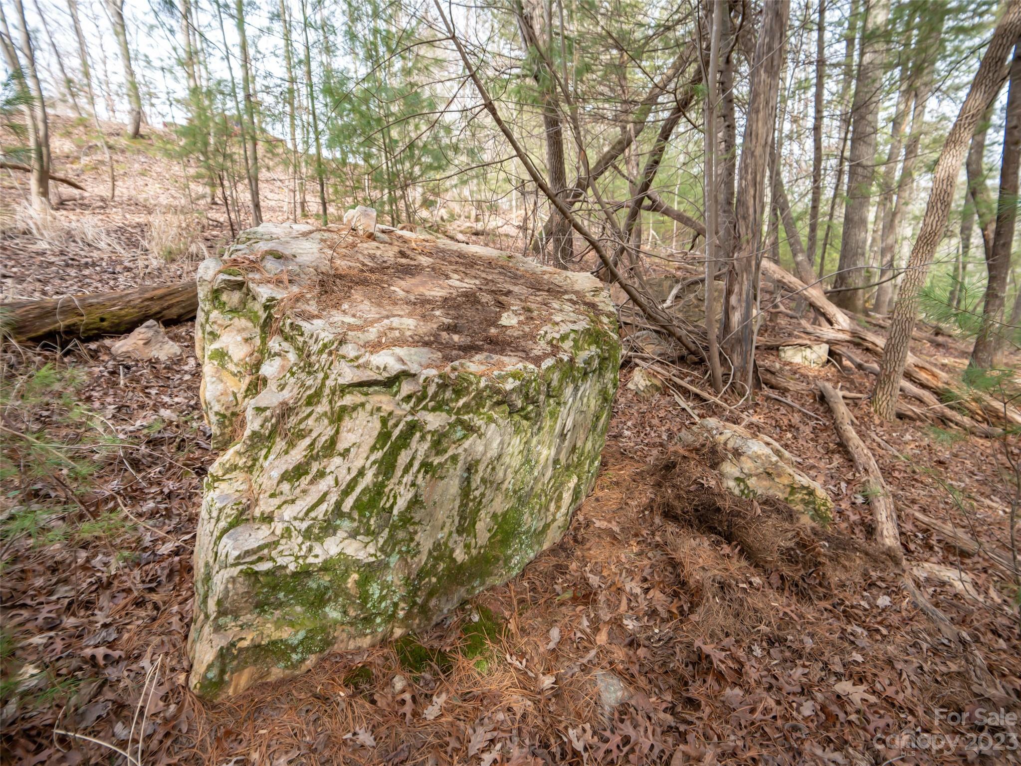 Biltmore Forest - Land