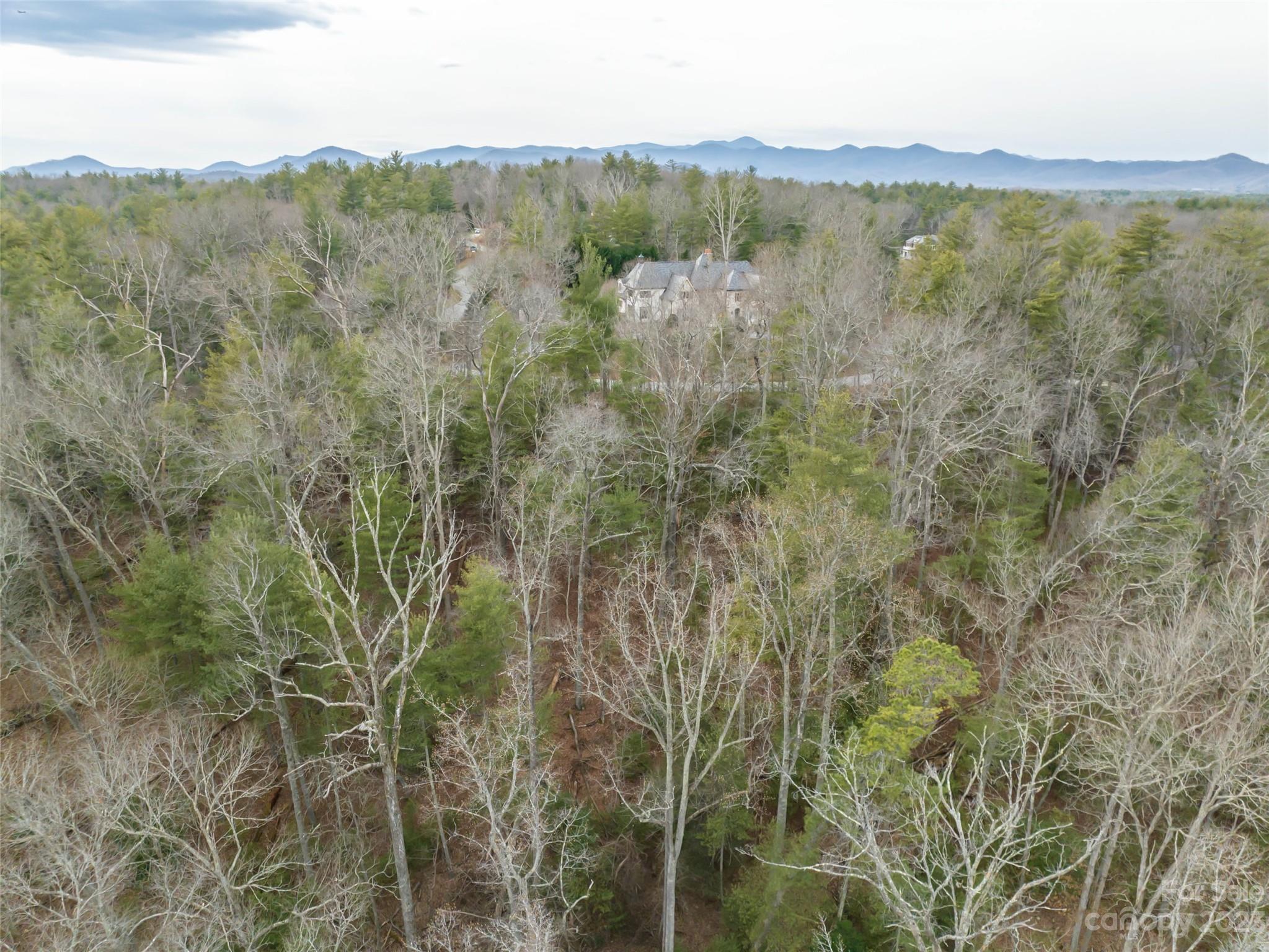 Biltmore Forest - Land