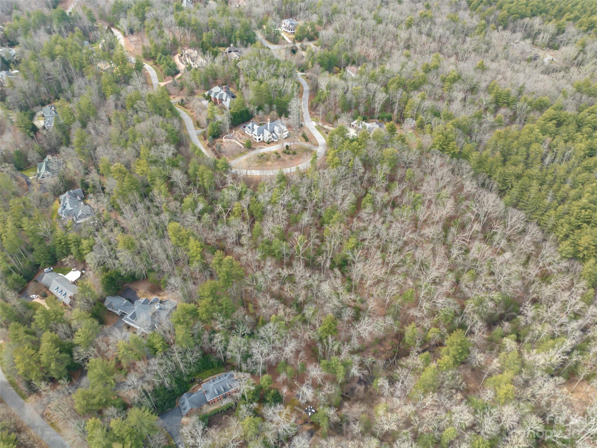 Biltmore Forest - Land