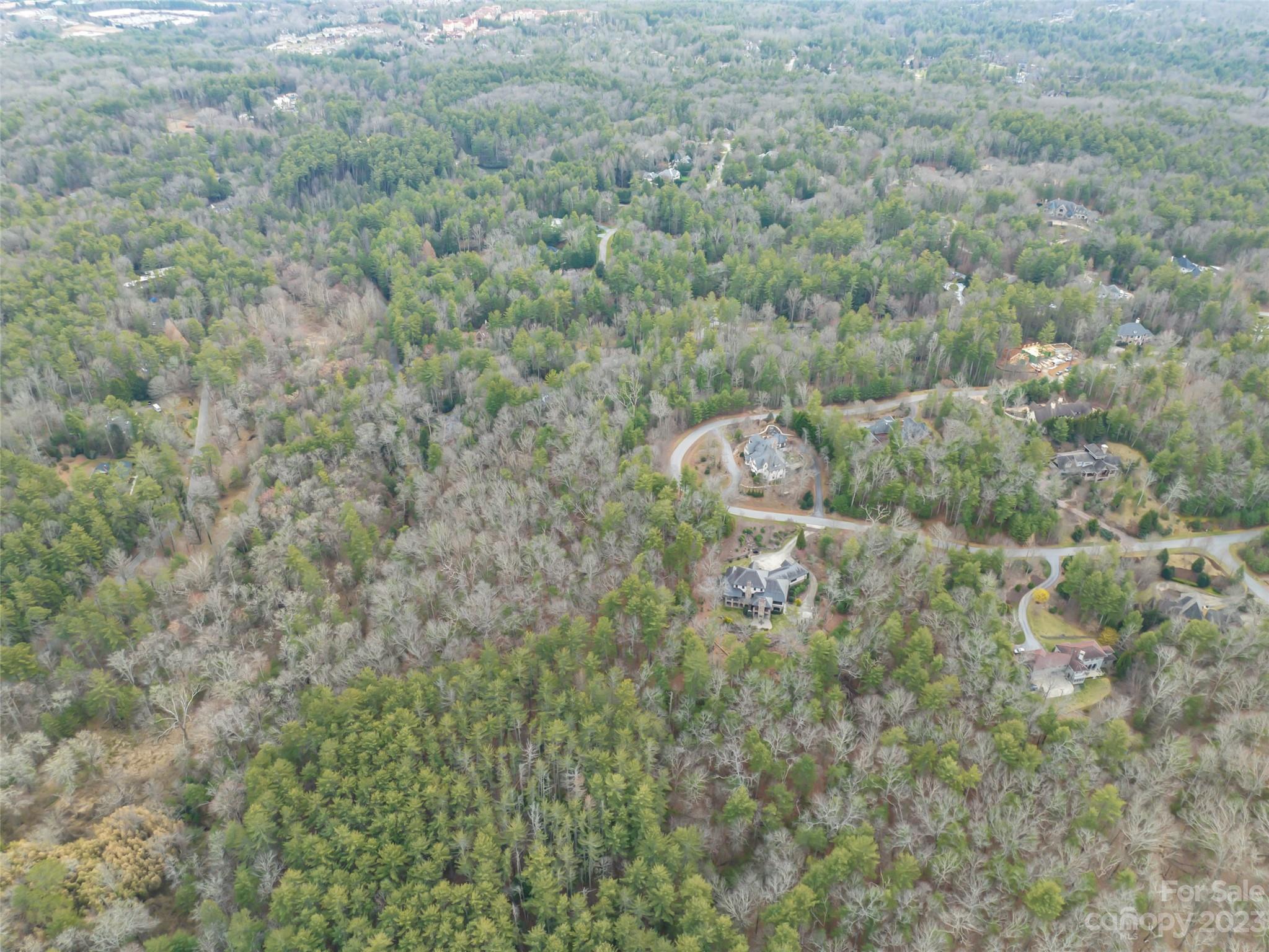 Biltmore Forest - Land