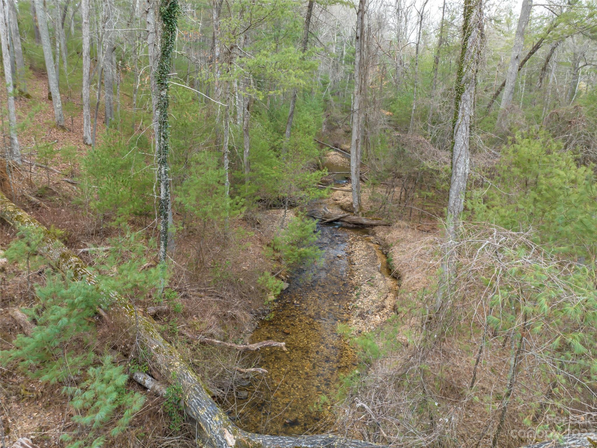 Biltmore Forest - Land