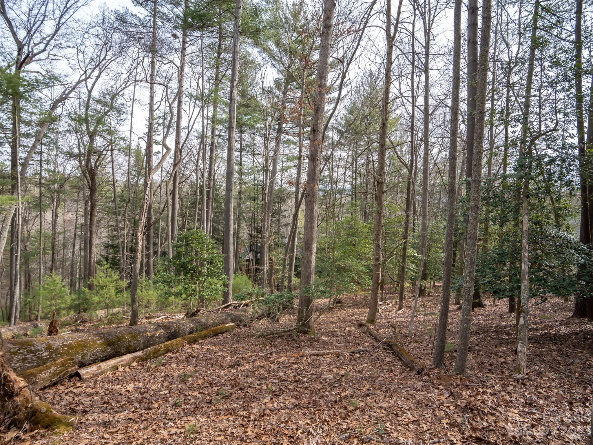 Biltmore Forest - Land