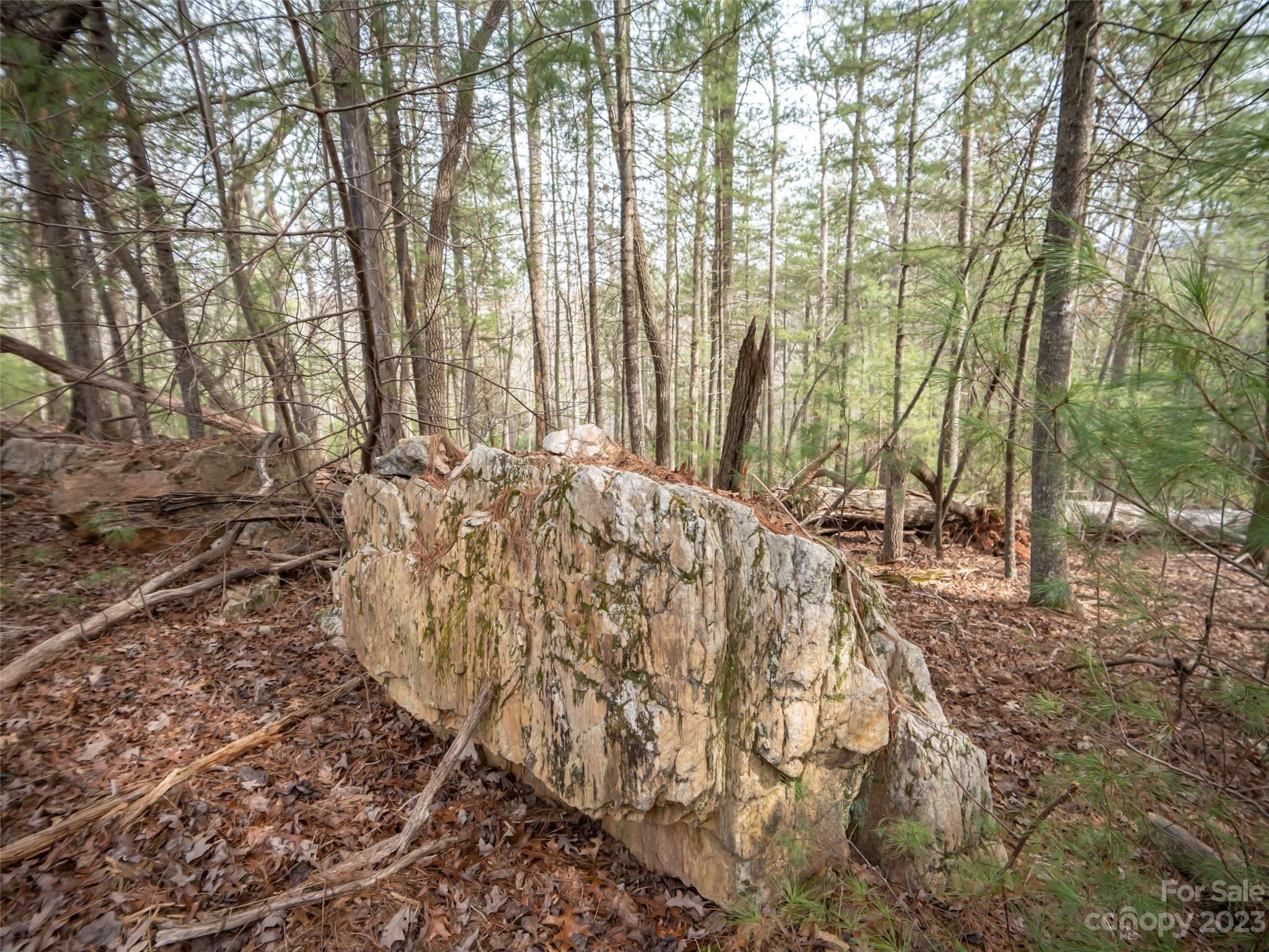 Biltmore Forest - Land