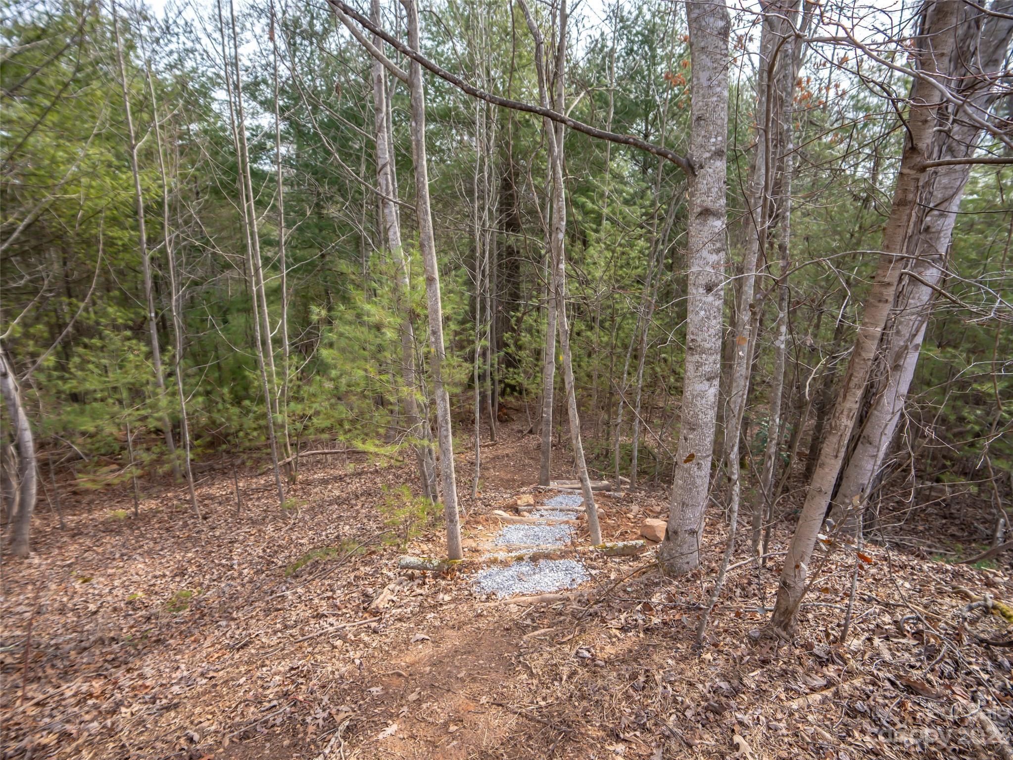 Biltmore Forest - Land