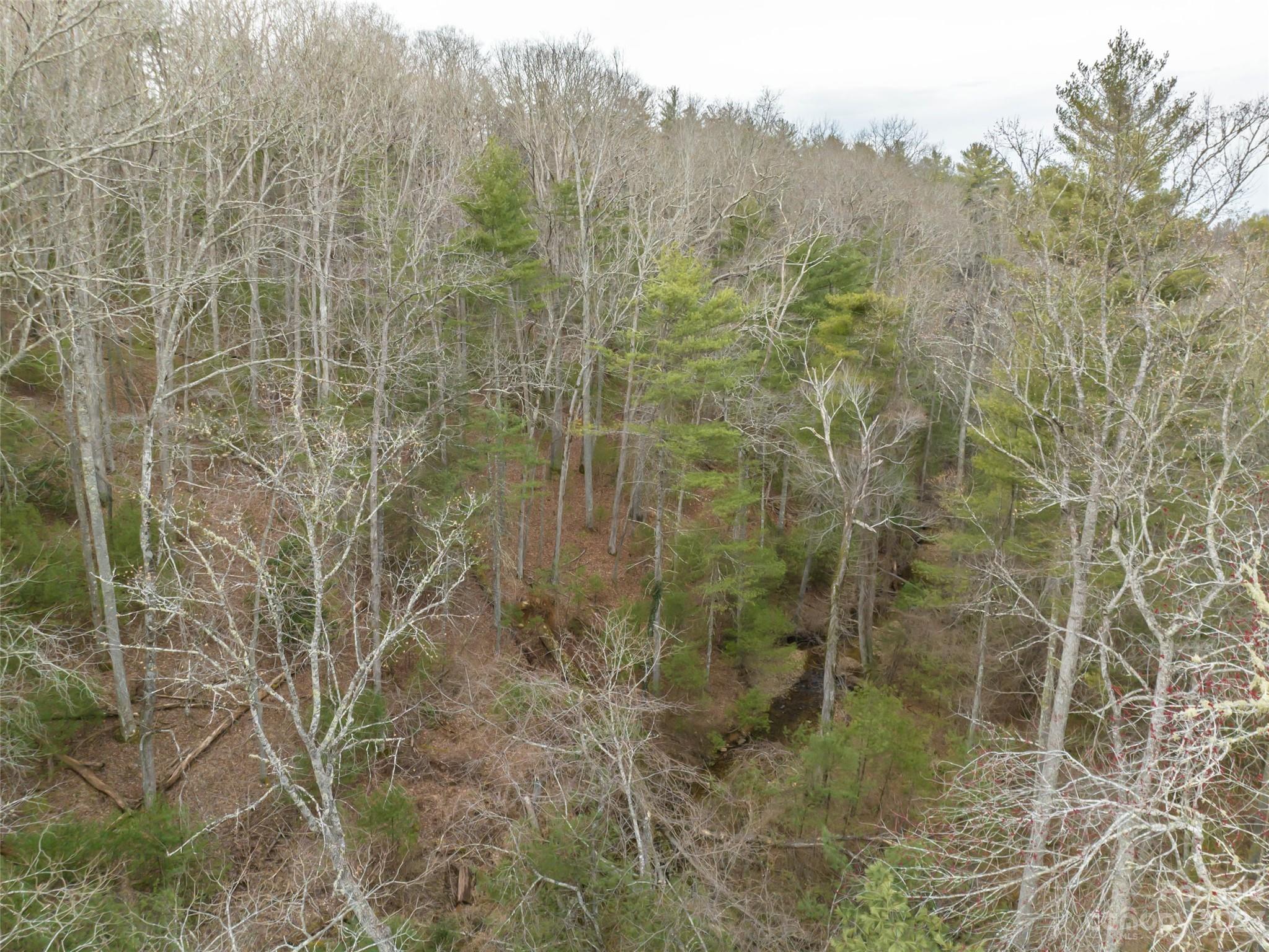 Biltmore Forest - Land