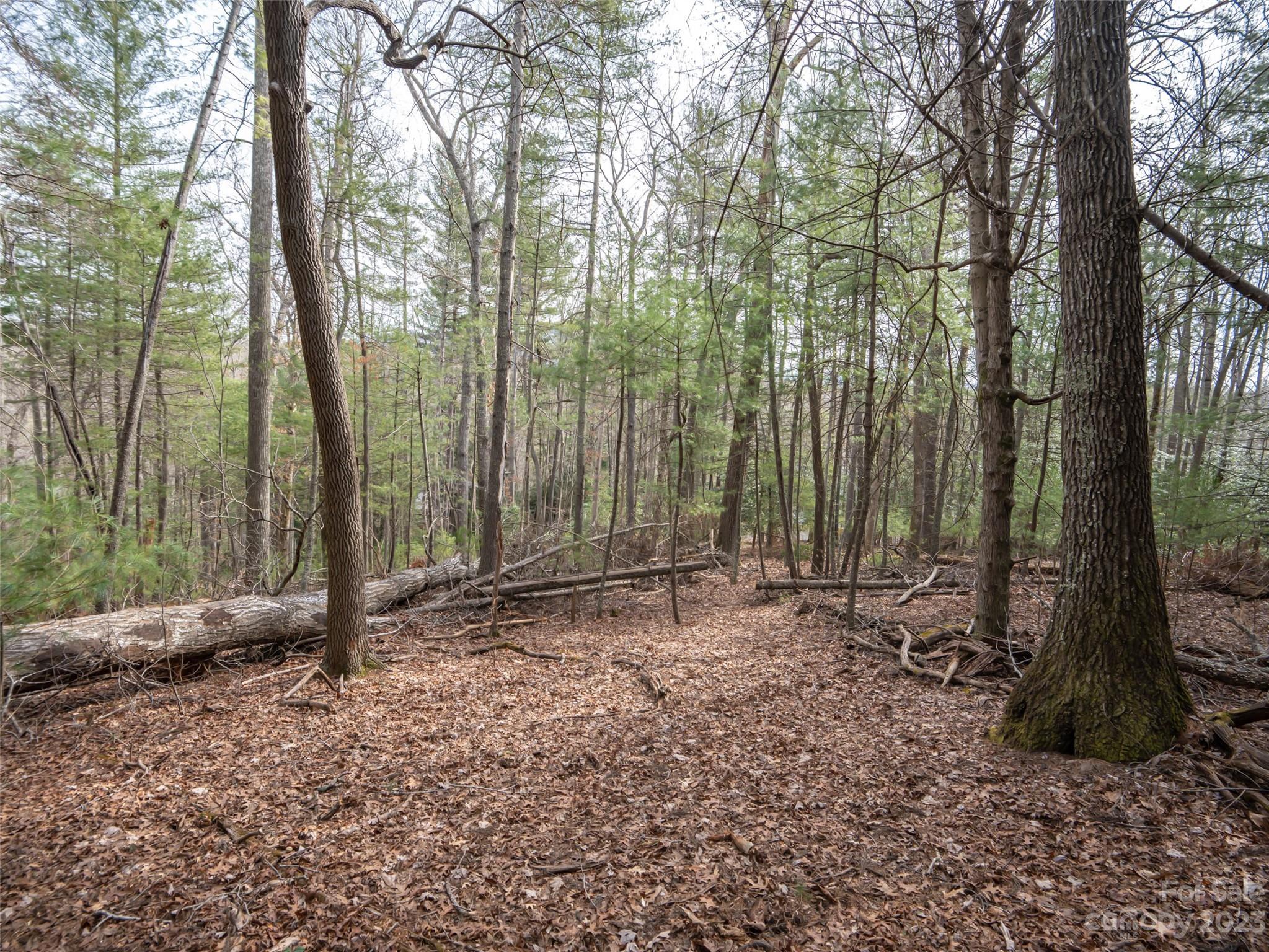 Biltmore Forest - Land