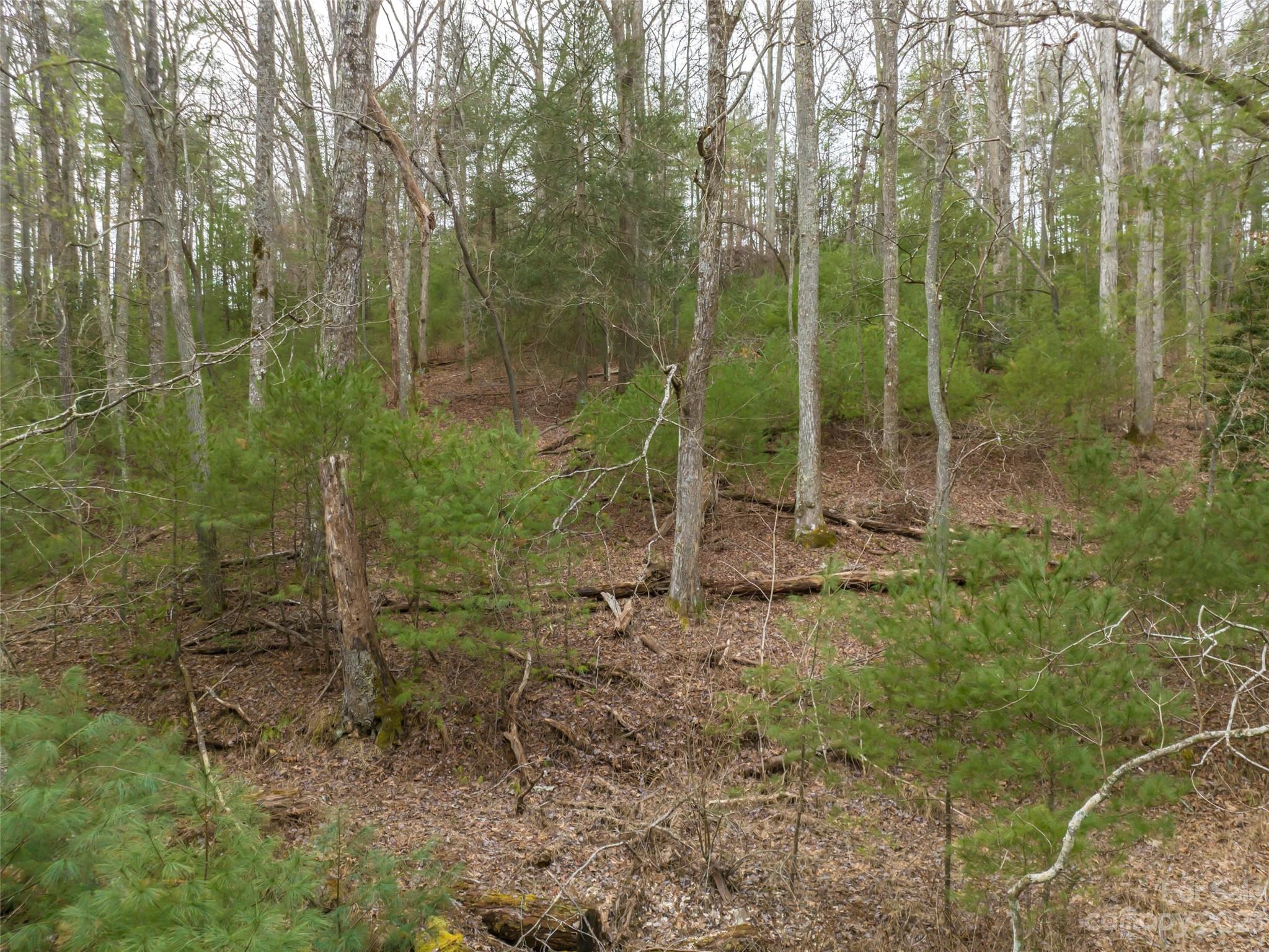 Biltmore Forest - Land