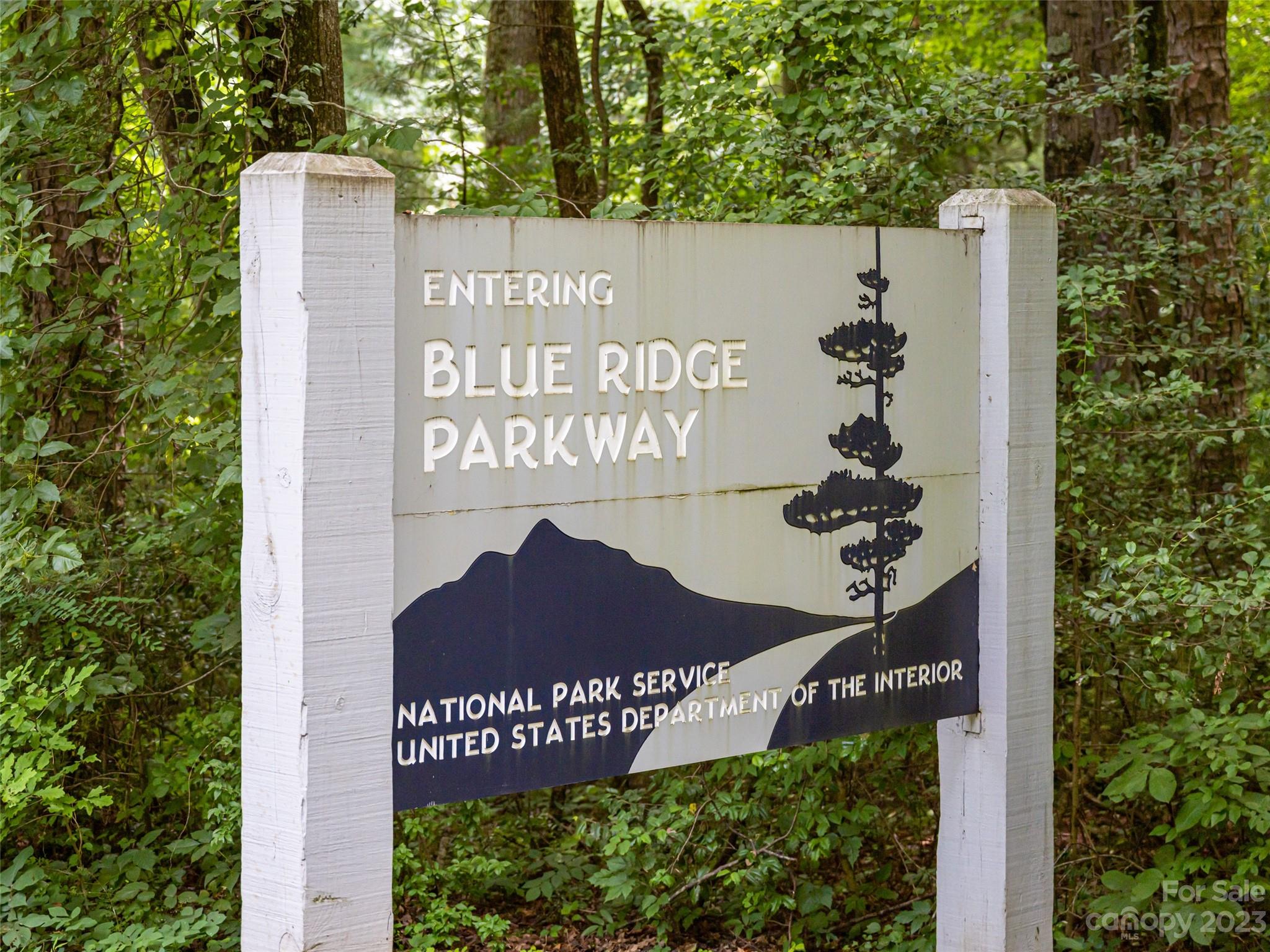 Biltmore Forest - Land