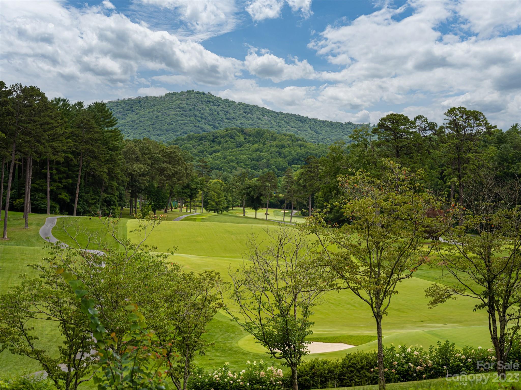 Biltmore Forest - Land