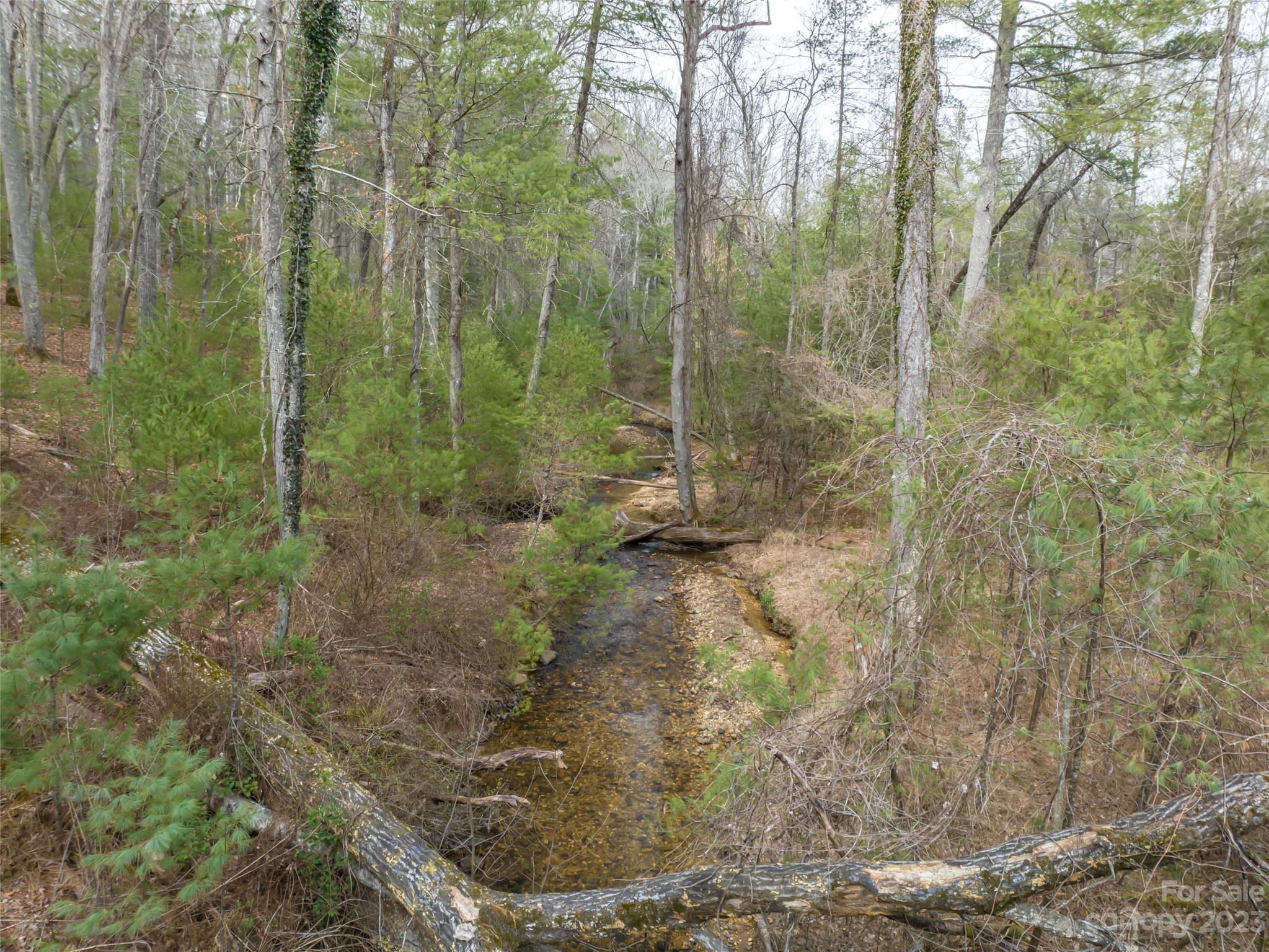 Biltmore Forest - Land