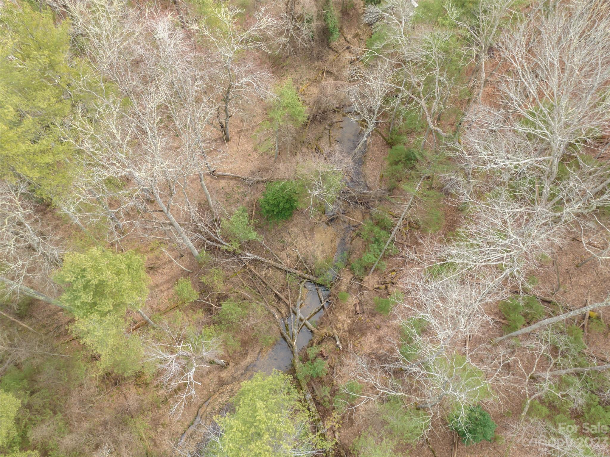 Biltmore Forest - Land