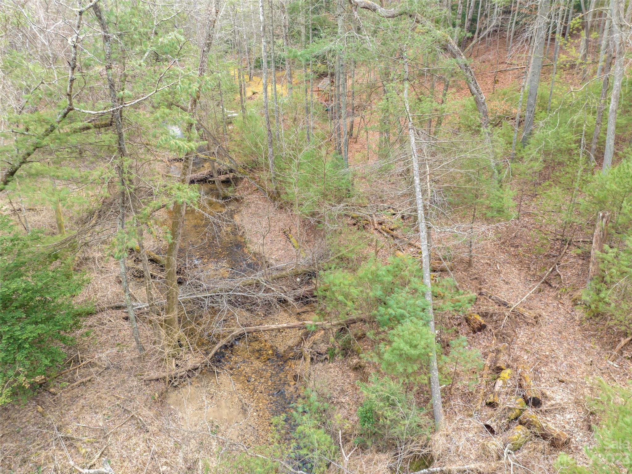 Biltmore Forest - Land