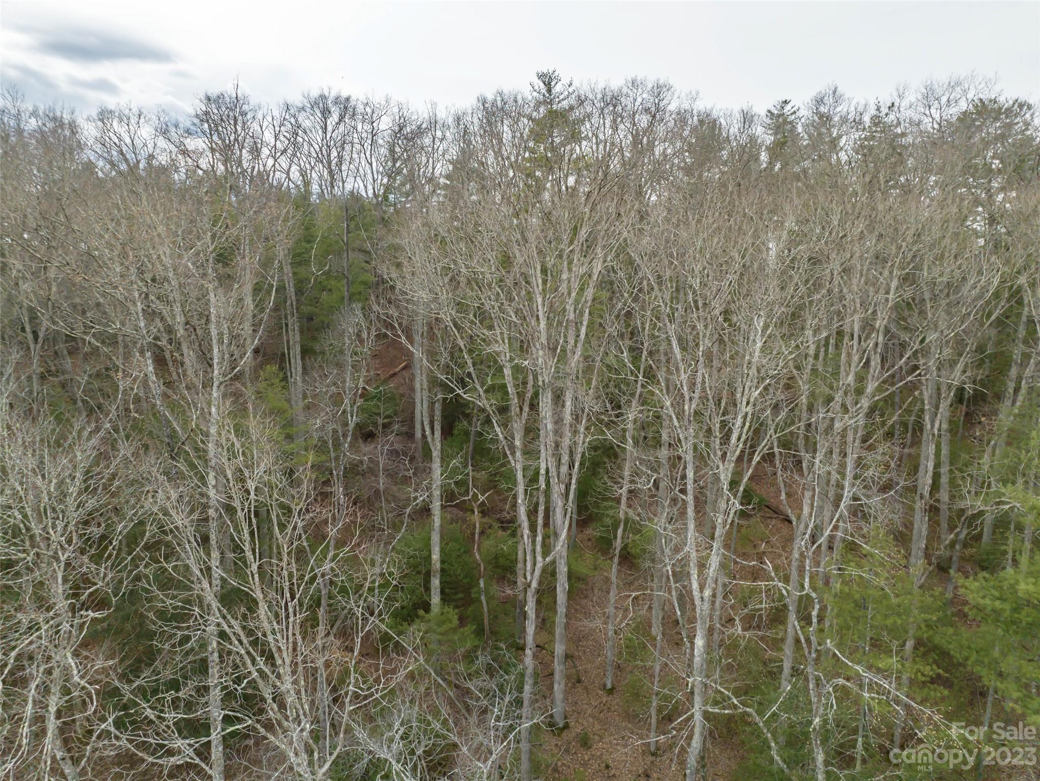 Biltmore Forest - Land