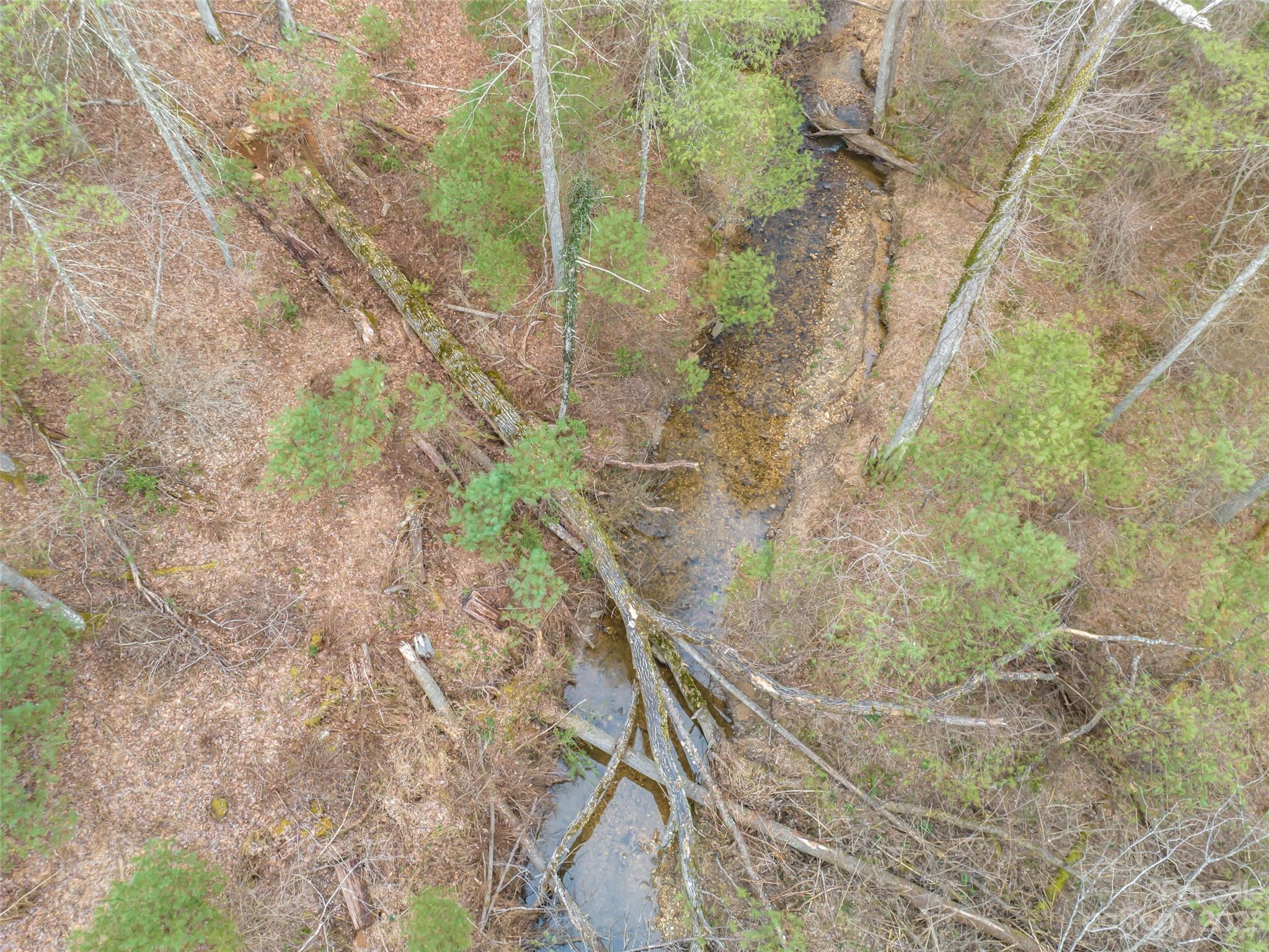 Biltmore Forest - Land