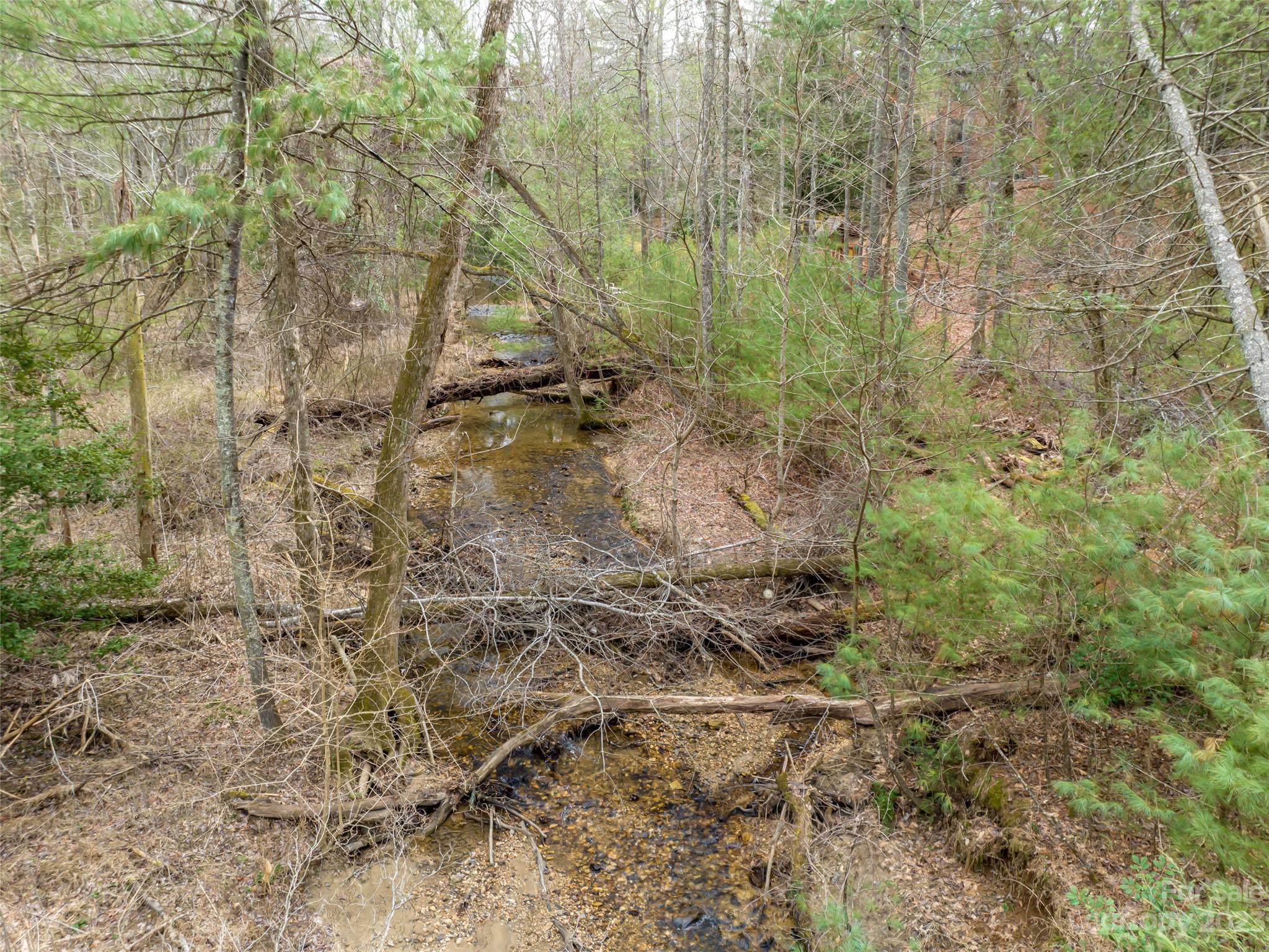 Biltmore Forest - Land